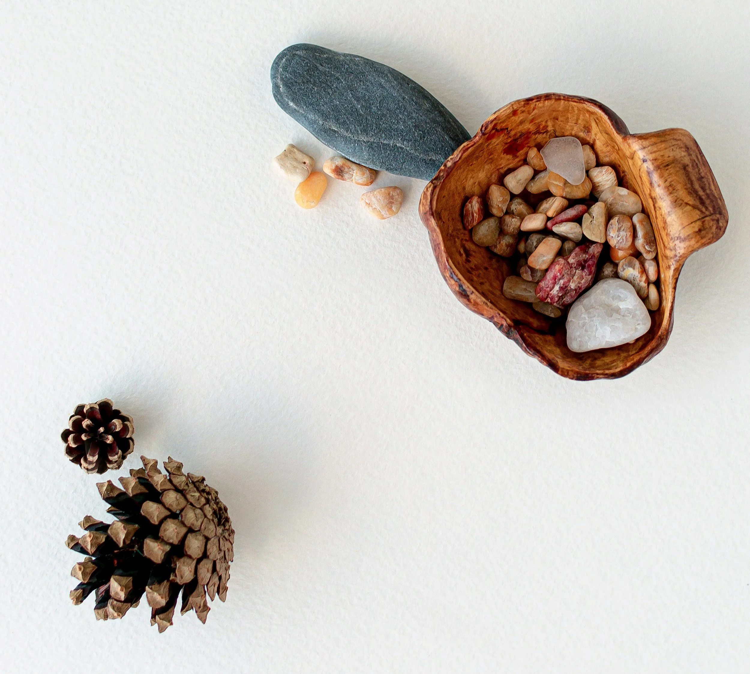 Creating a Small Nature Sanctuary at Home