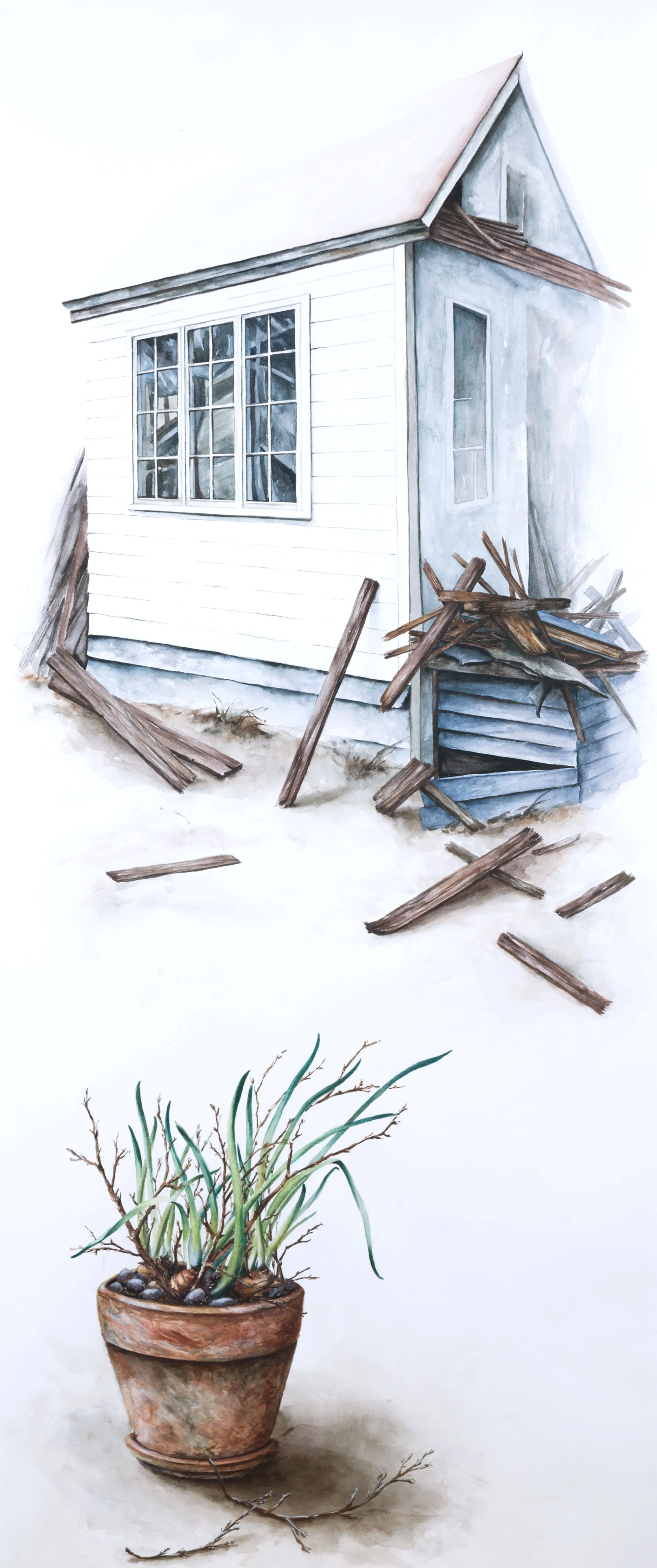 House with Potted Plant