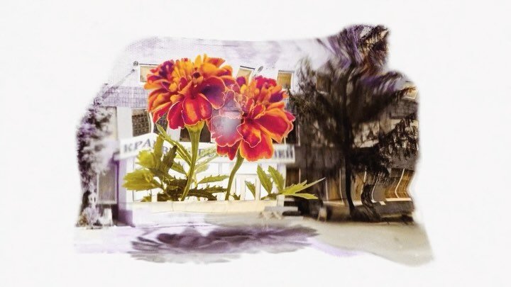 Burned by Other Suns: several illustrations in this book are paired with short animations, images come to life (activated with QR codes).

$50 each, limited edition of 75, dm to purchase. 
20% of sales donated to Ukrainian Institute, who are working 