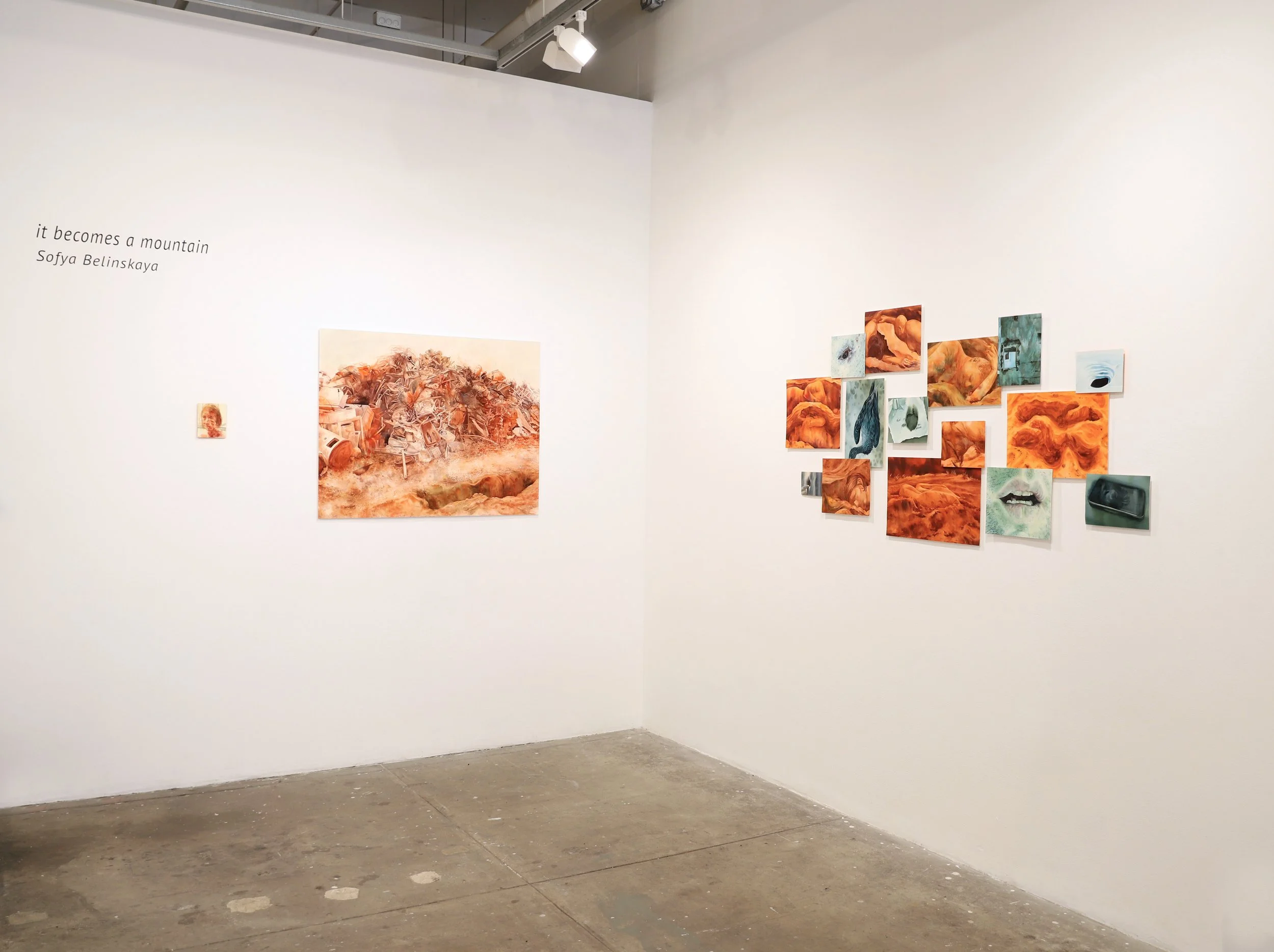 Installation view of 'it becomes a mountain'