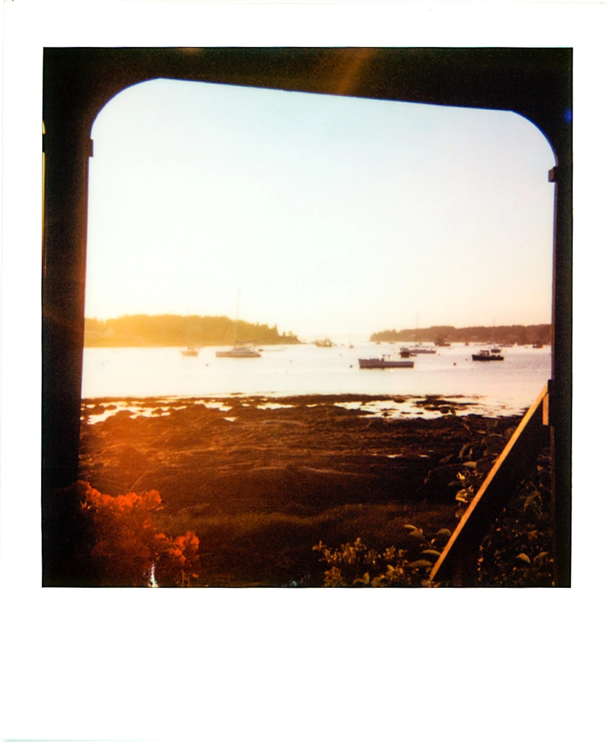 POLAROIDS-2.jpg