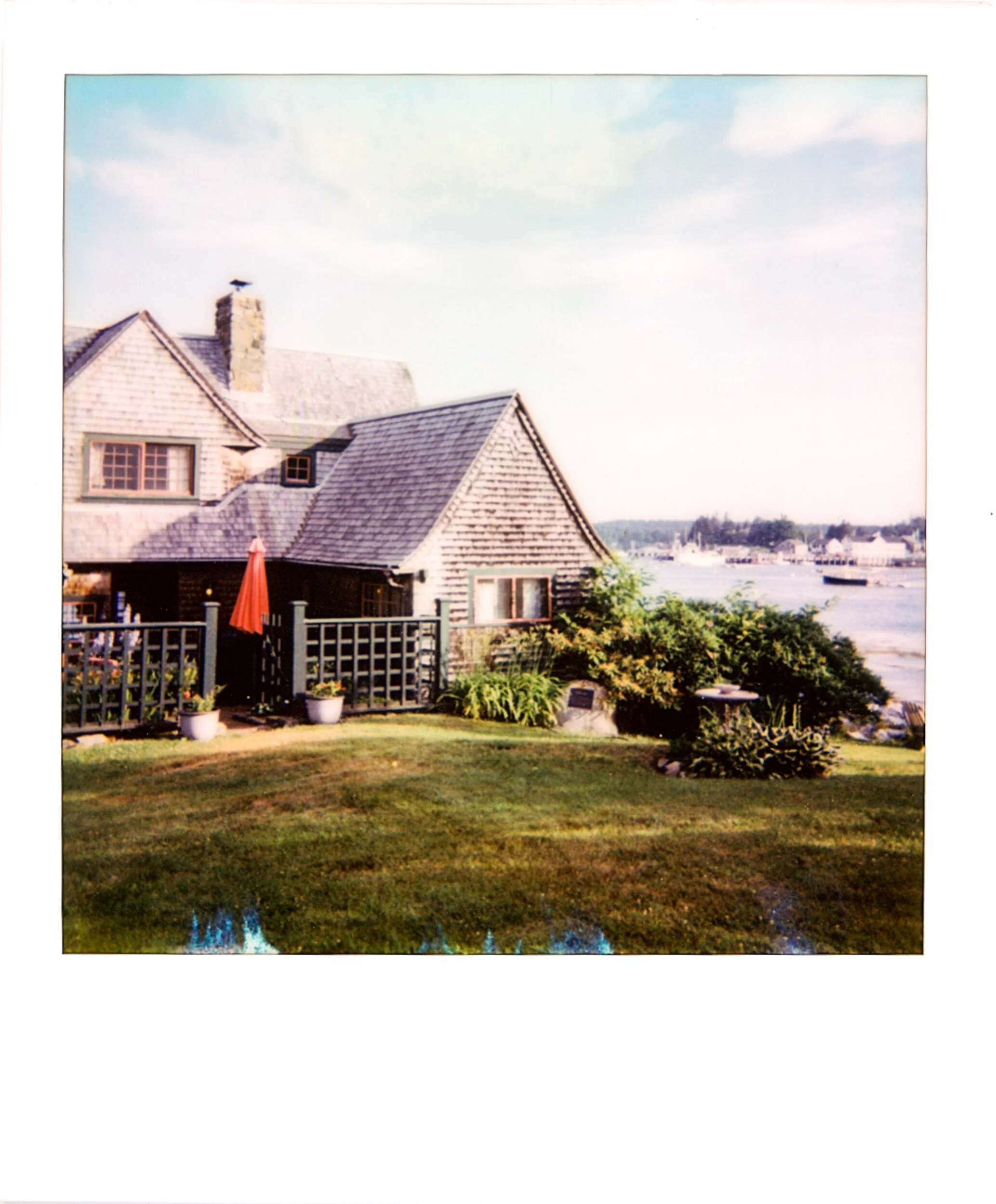 POLAROIDS-3.jpg