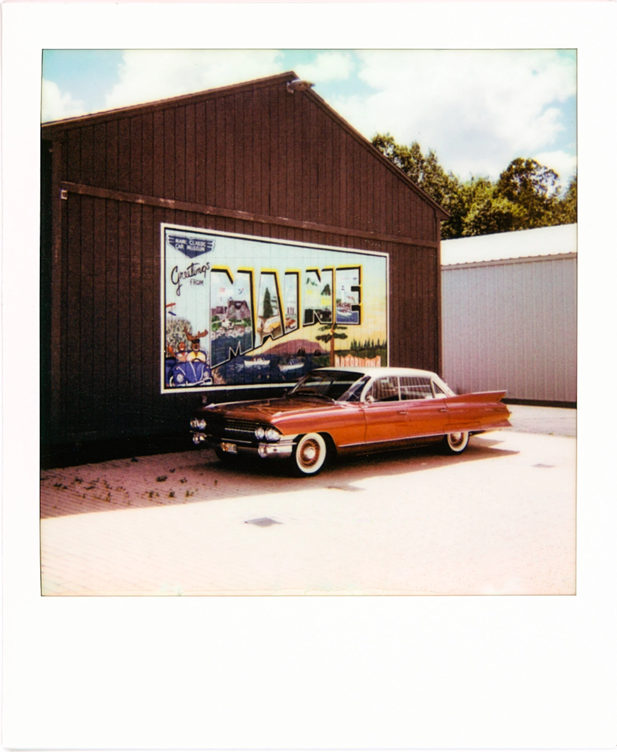 POLAROIDS-5.jpg