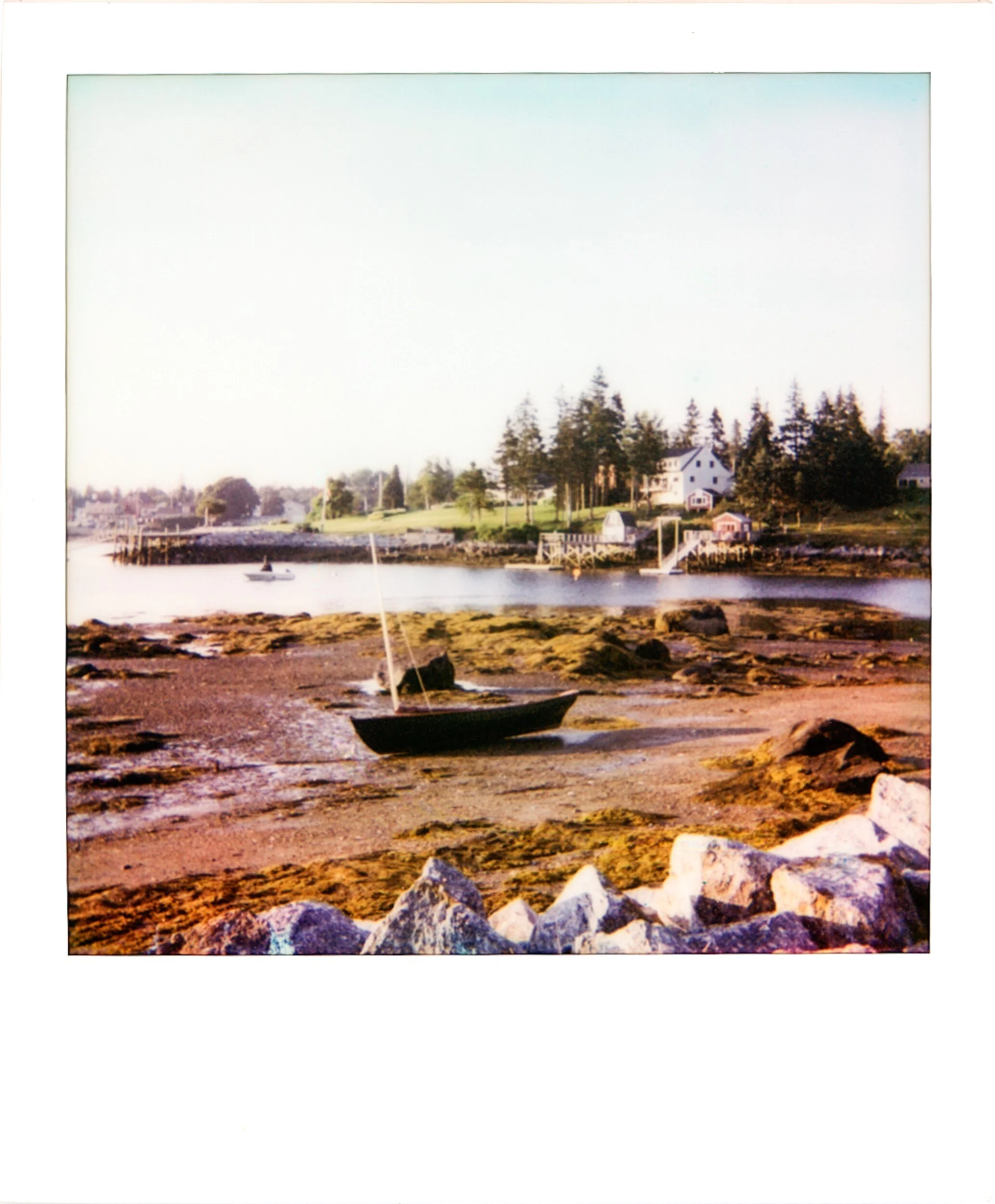 POLAROIDS-8.jpg