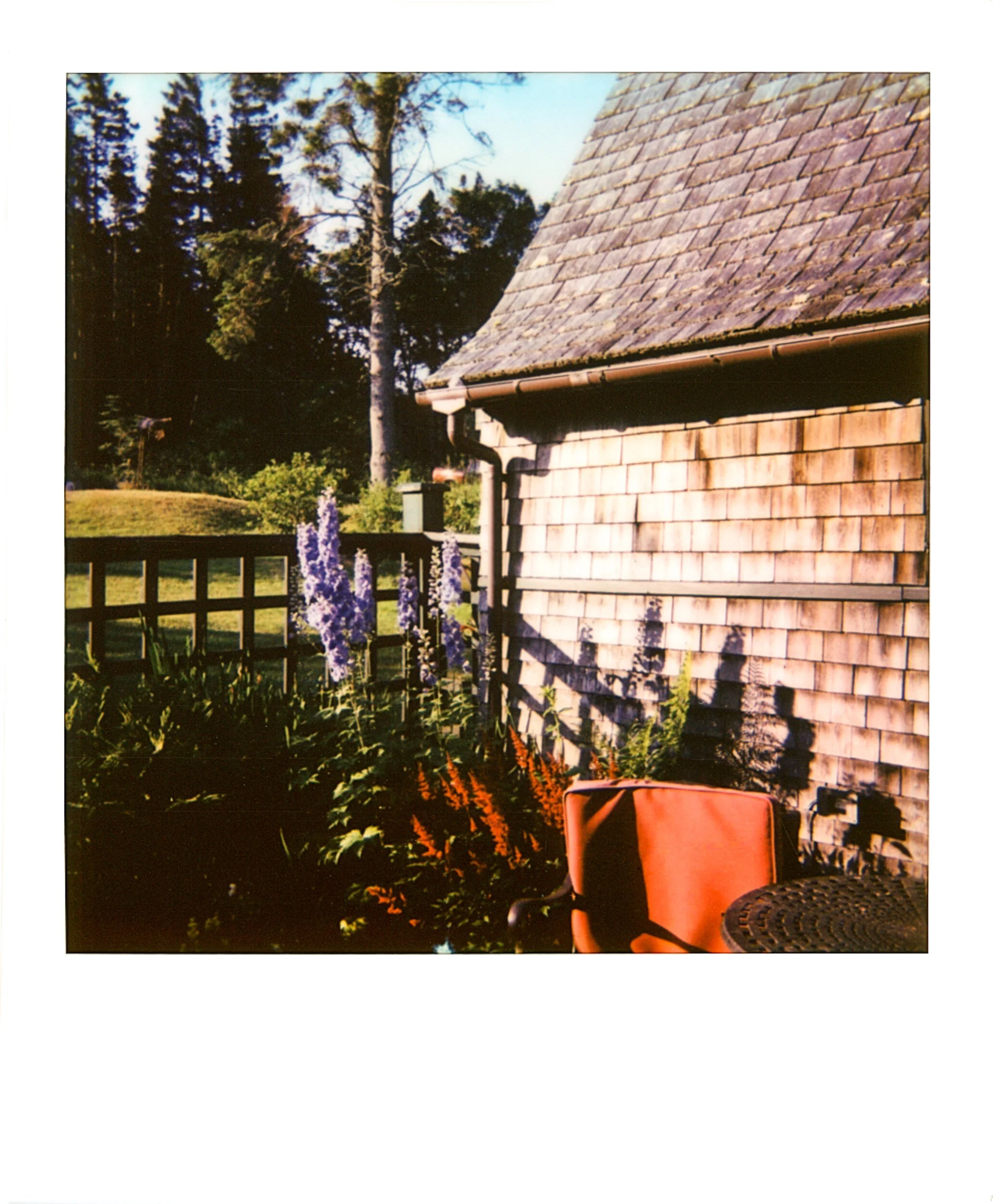 POLAROIDS-9.jpg