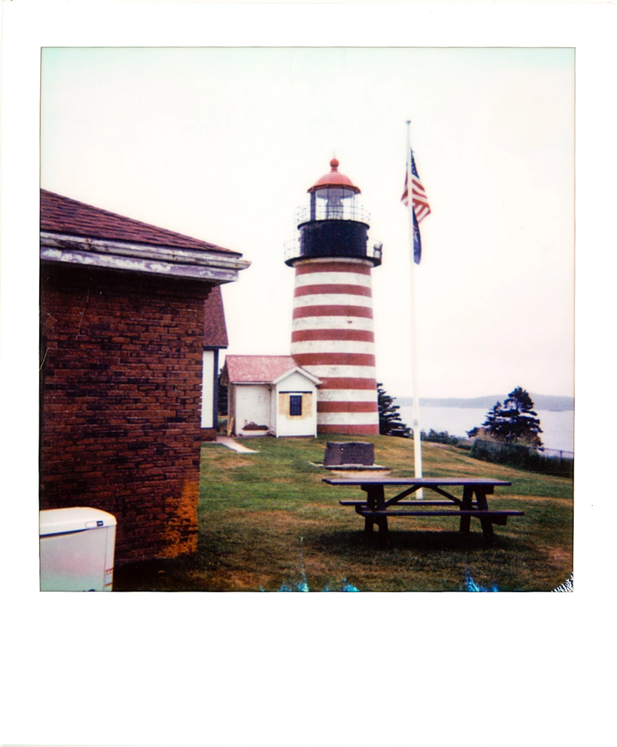 POLAROIDS-11.jpg