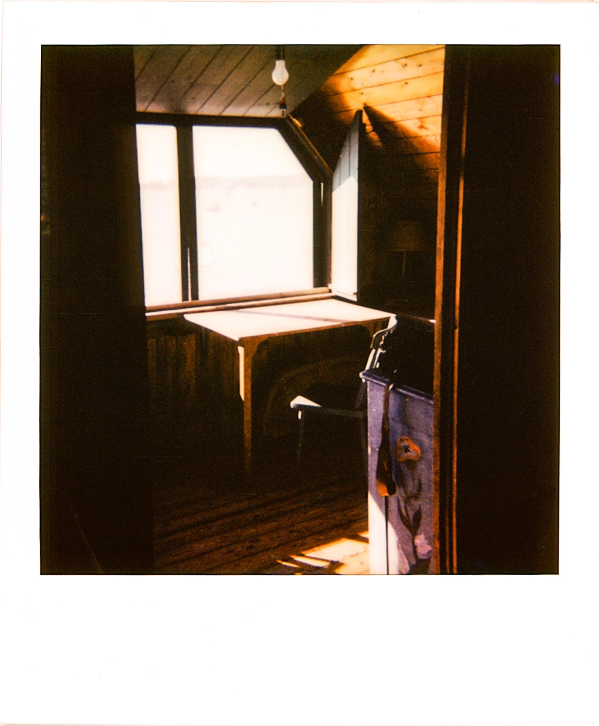 POLAROIDS-14.jpg