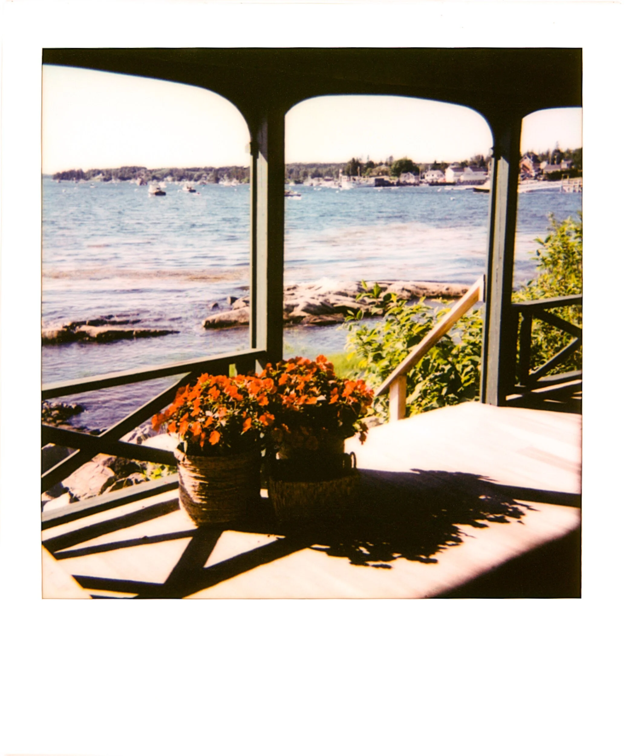 POLAROIDS-19.jpg