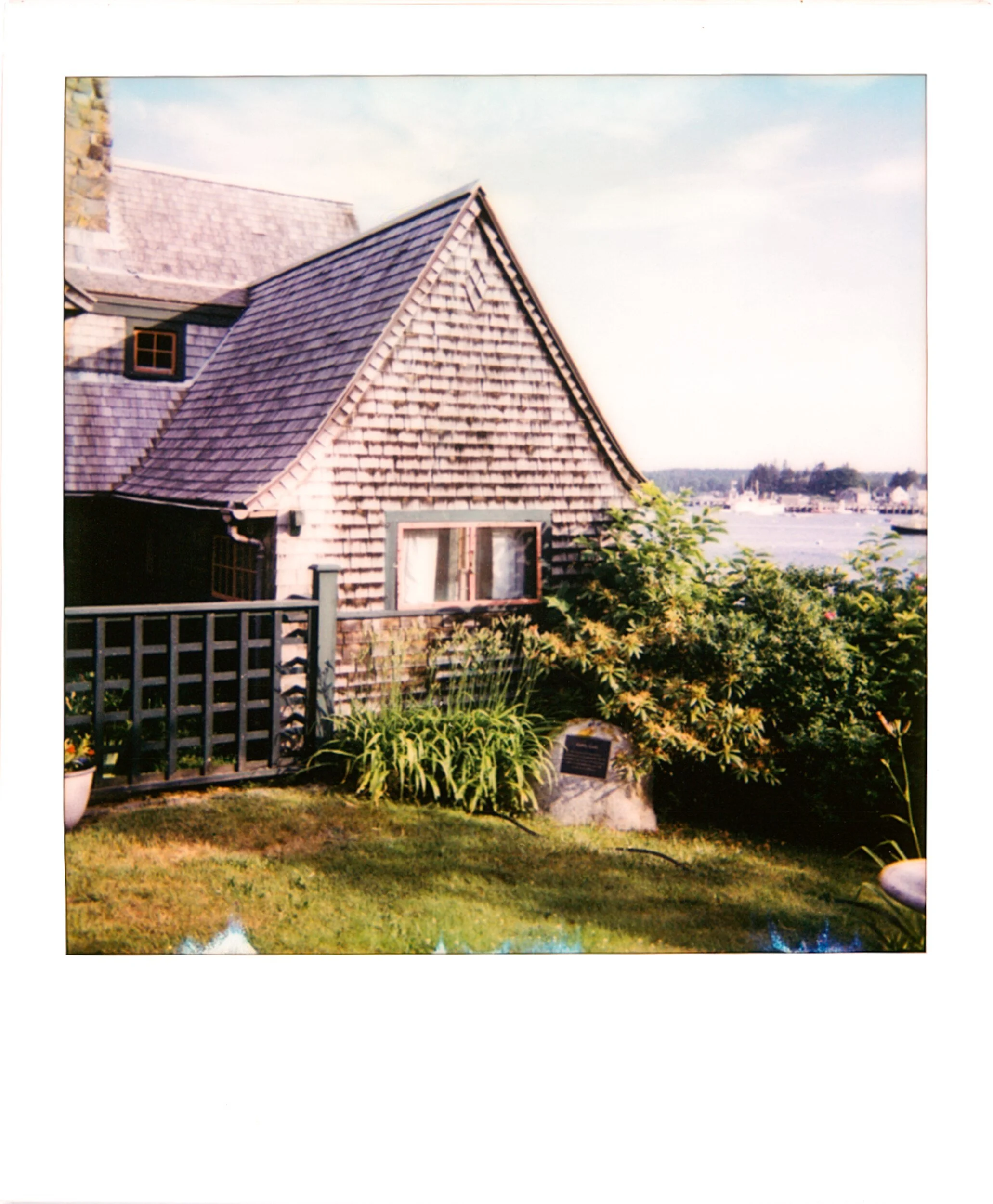 POLAROIDS-21.jpg