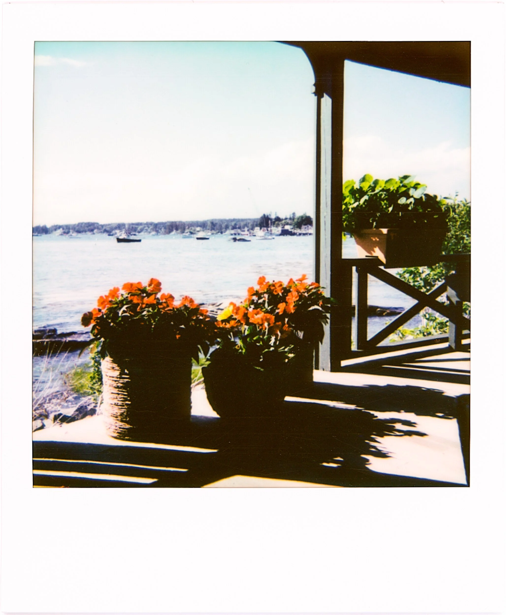 POLAROIDS-24.jpg