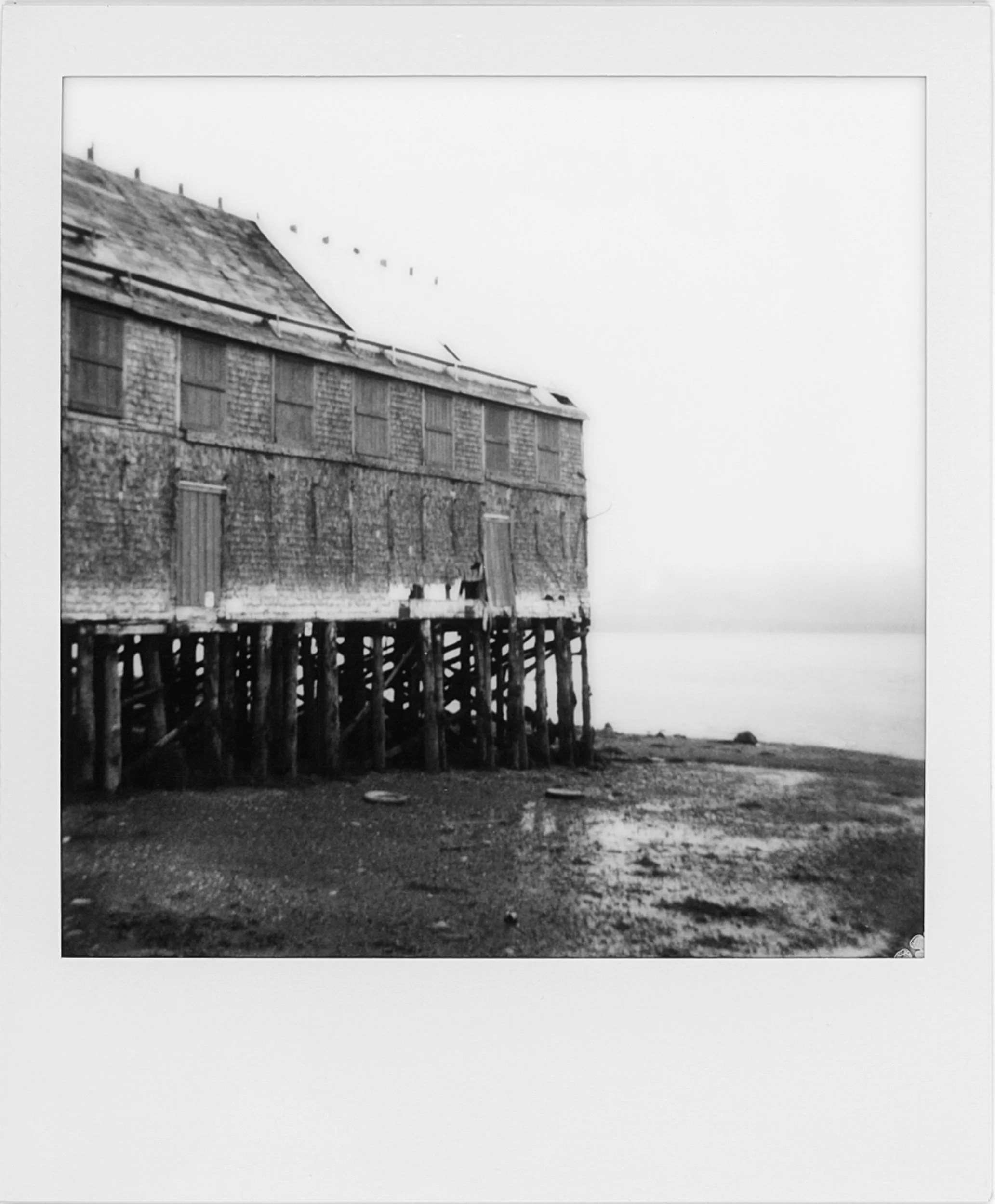 POLAROIDS-26.jpg