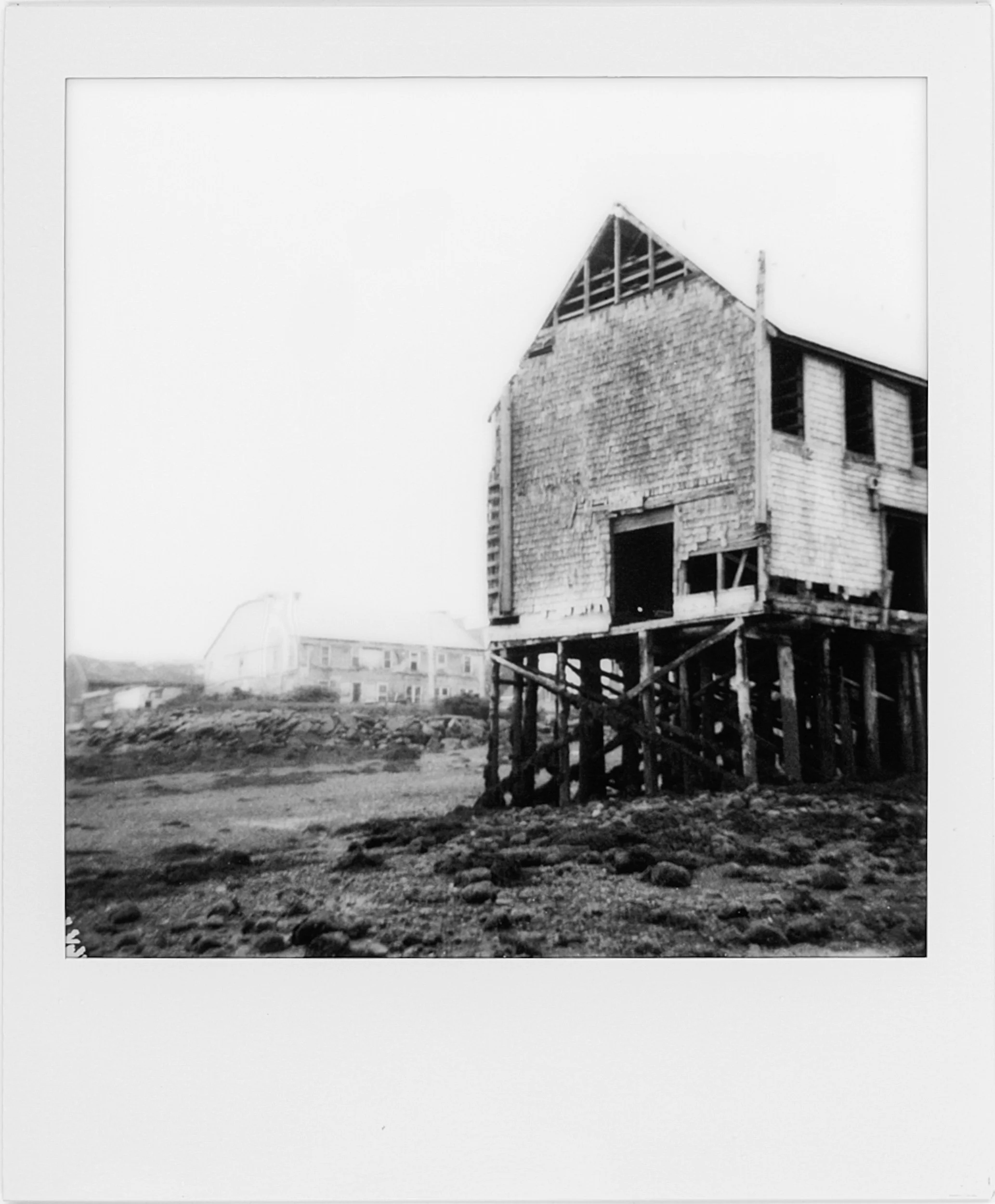 POLAROIDS-28.jpg
