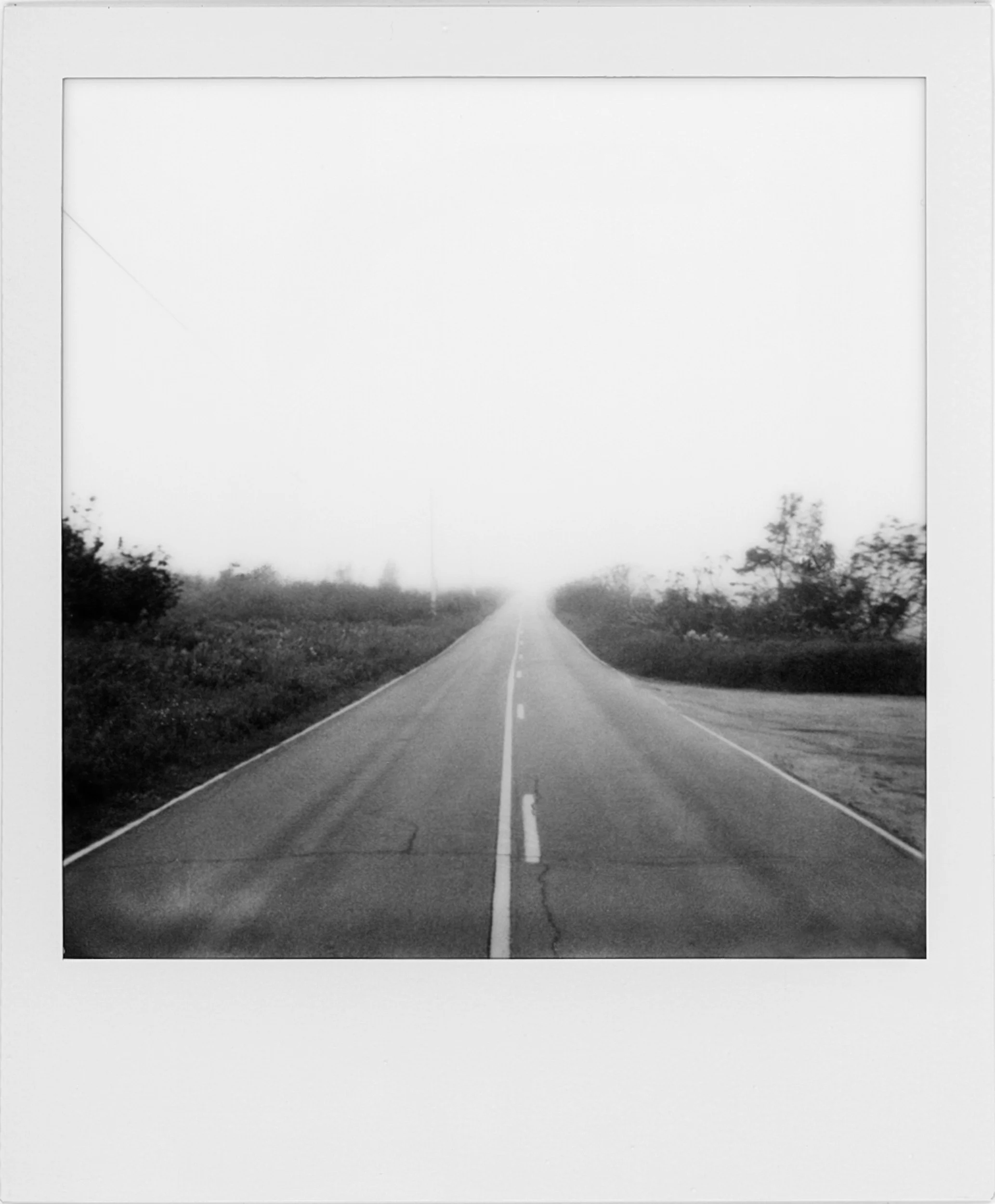 POLAROIDS-31.jpg