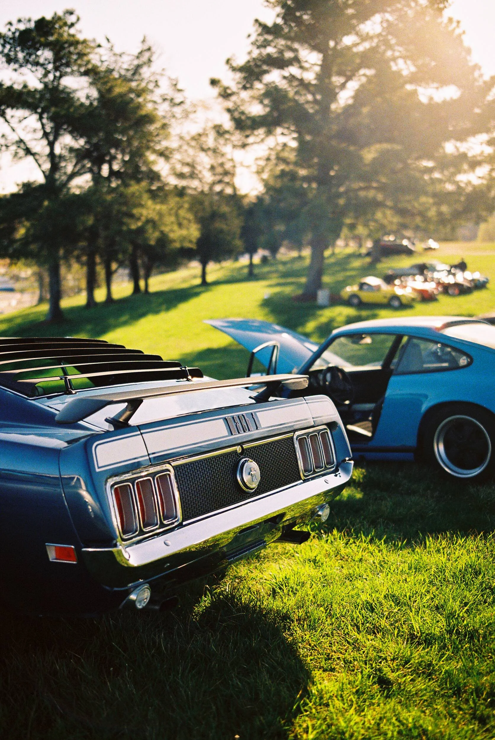 AUTOMOTIVE-31.jpg