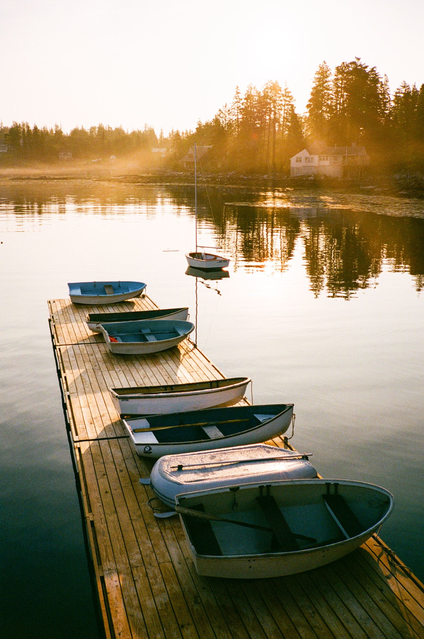 MAINE-2.jpg