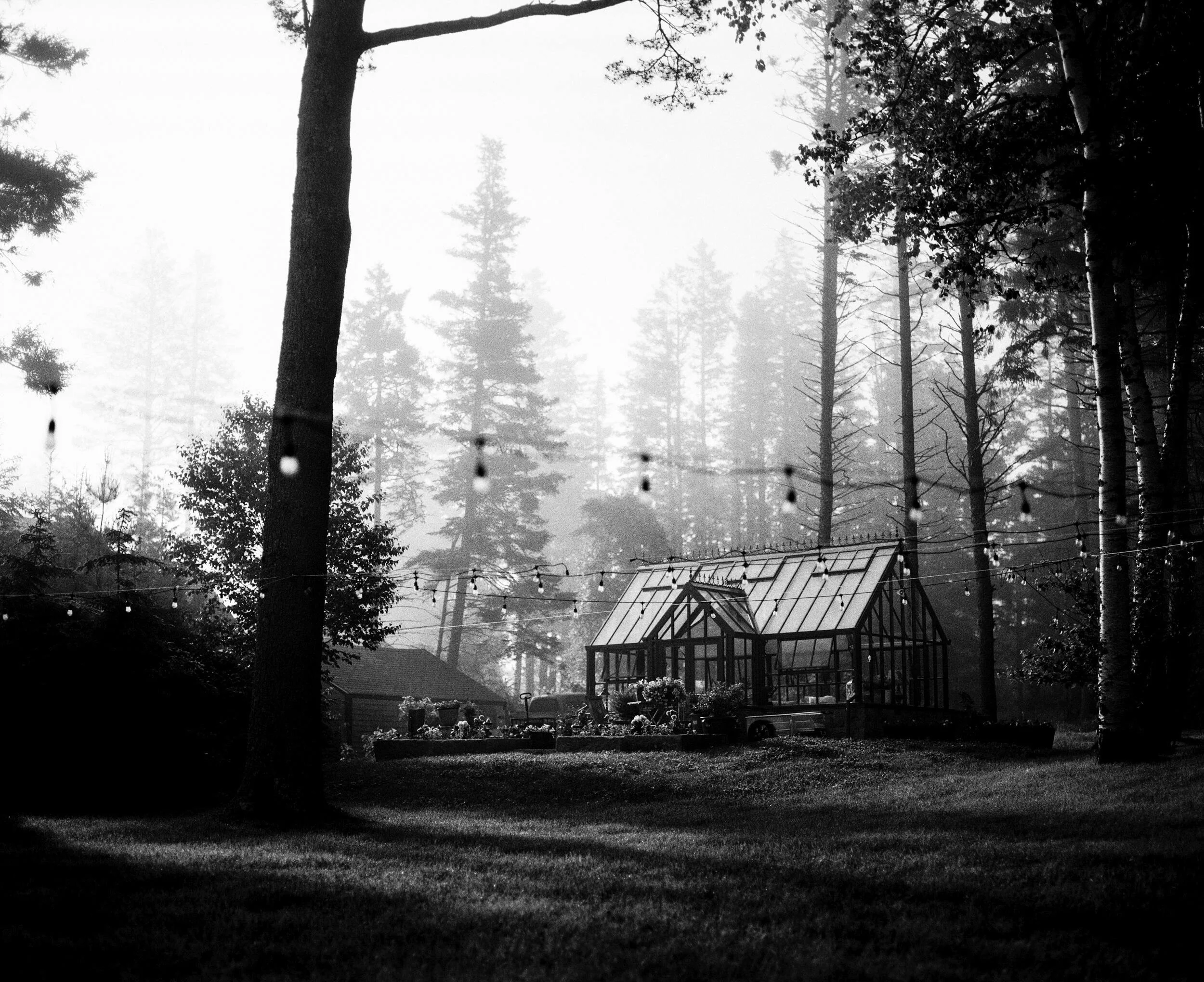 MAINE-5.jpg