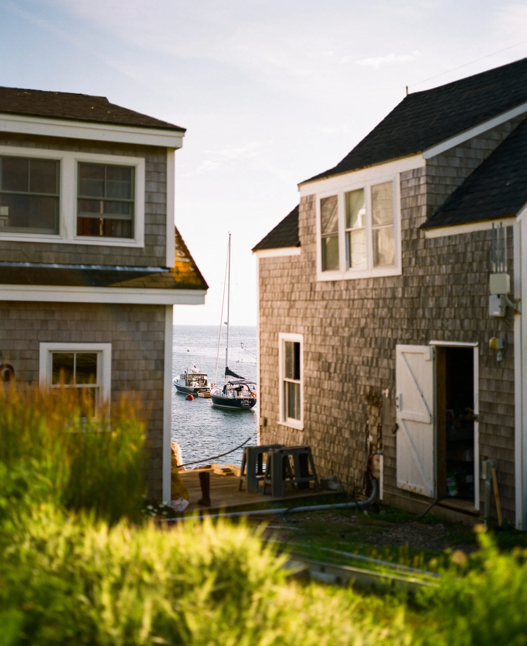 MAINE-6.jpg