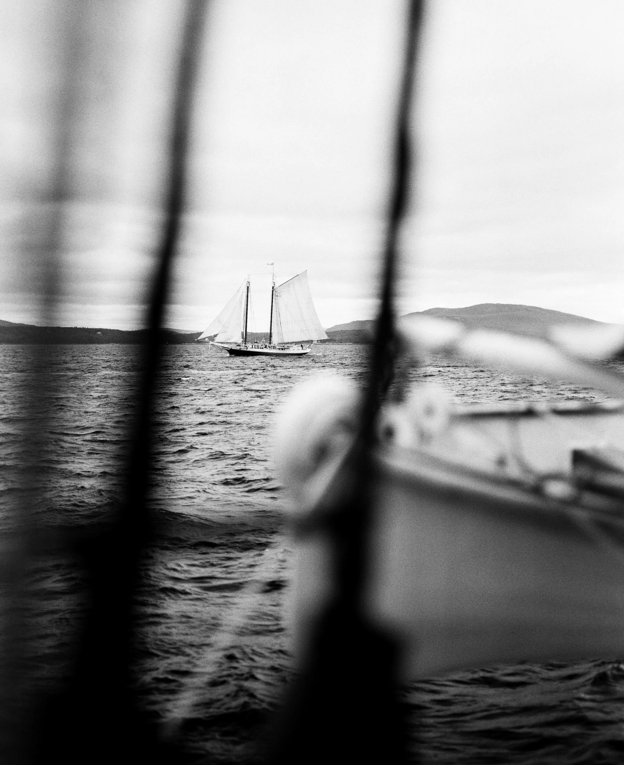 MAINE-8.jpg