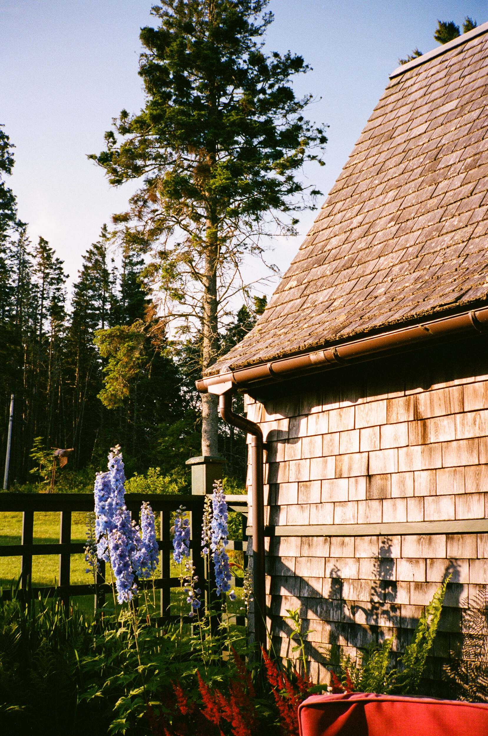 MAINE-18.jpg