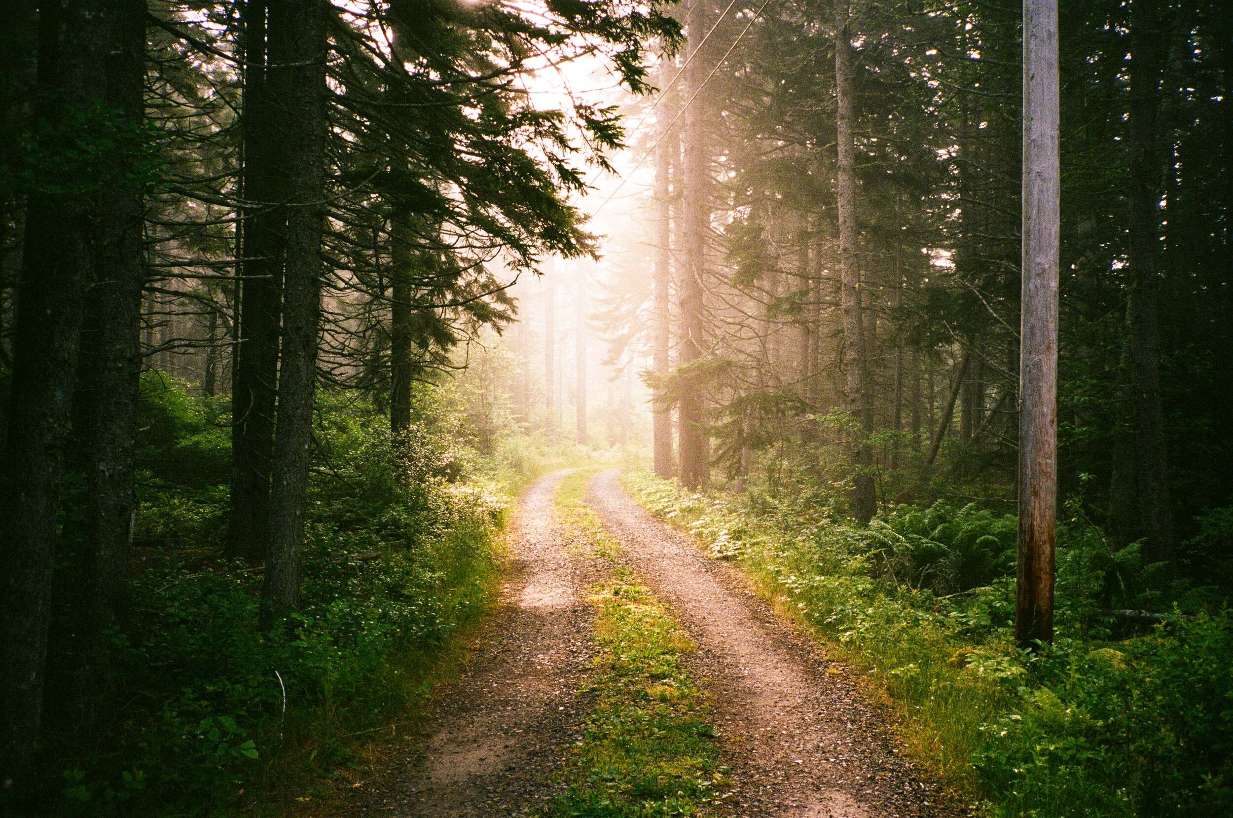 MAINE-29.jpg