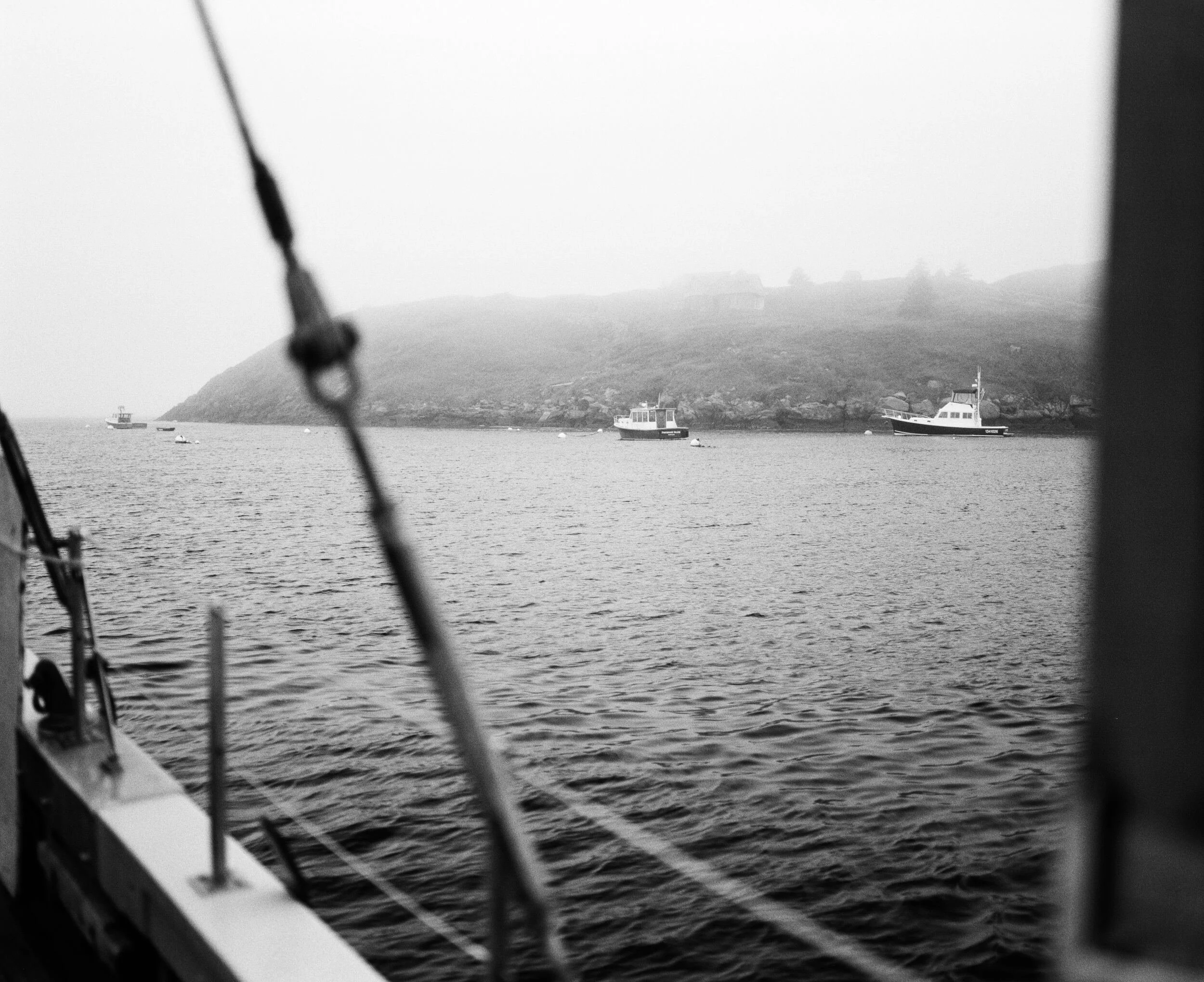 MAINE-39.jpg