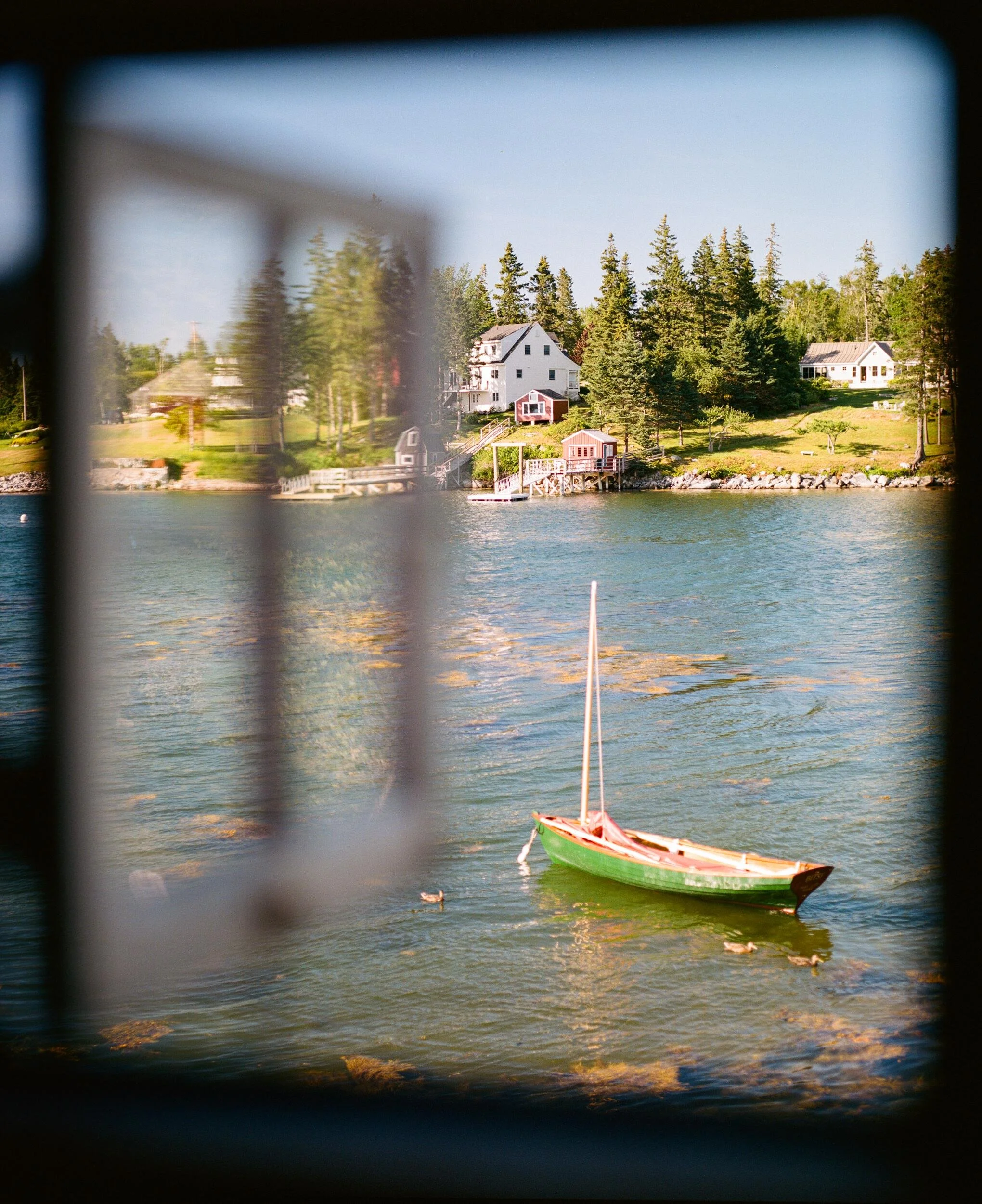 MAINE-40.jpg