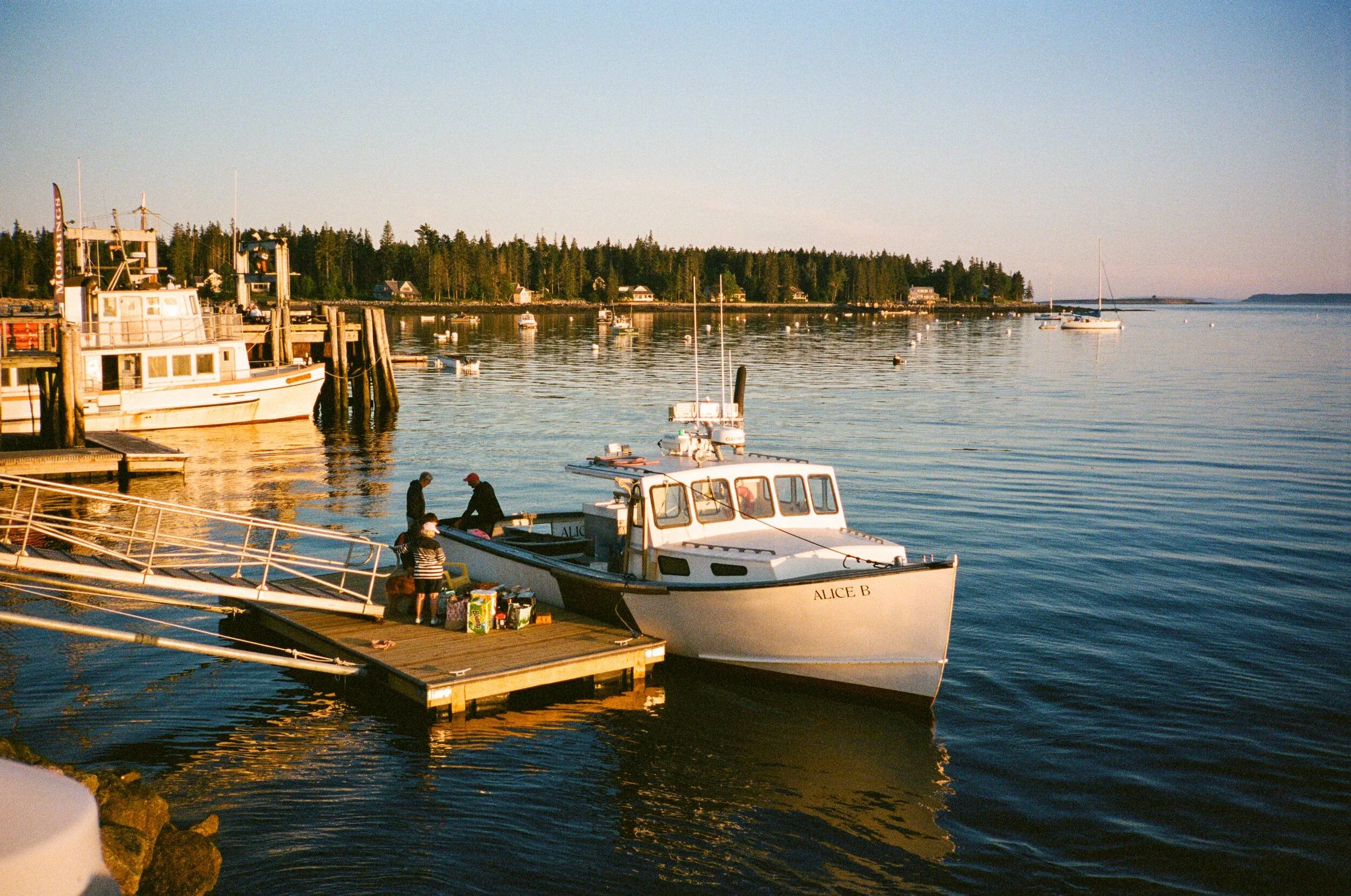 MAINE-41.jpg