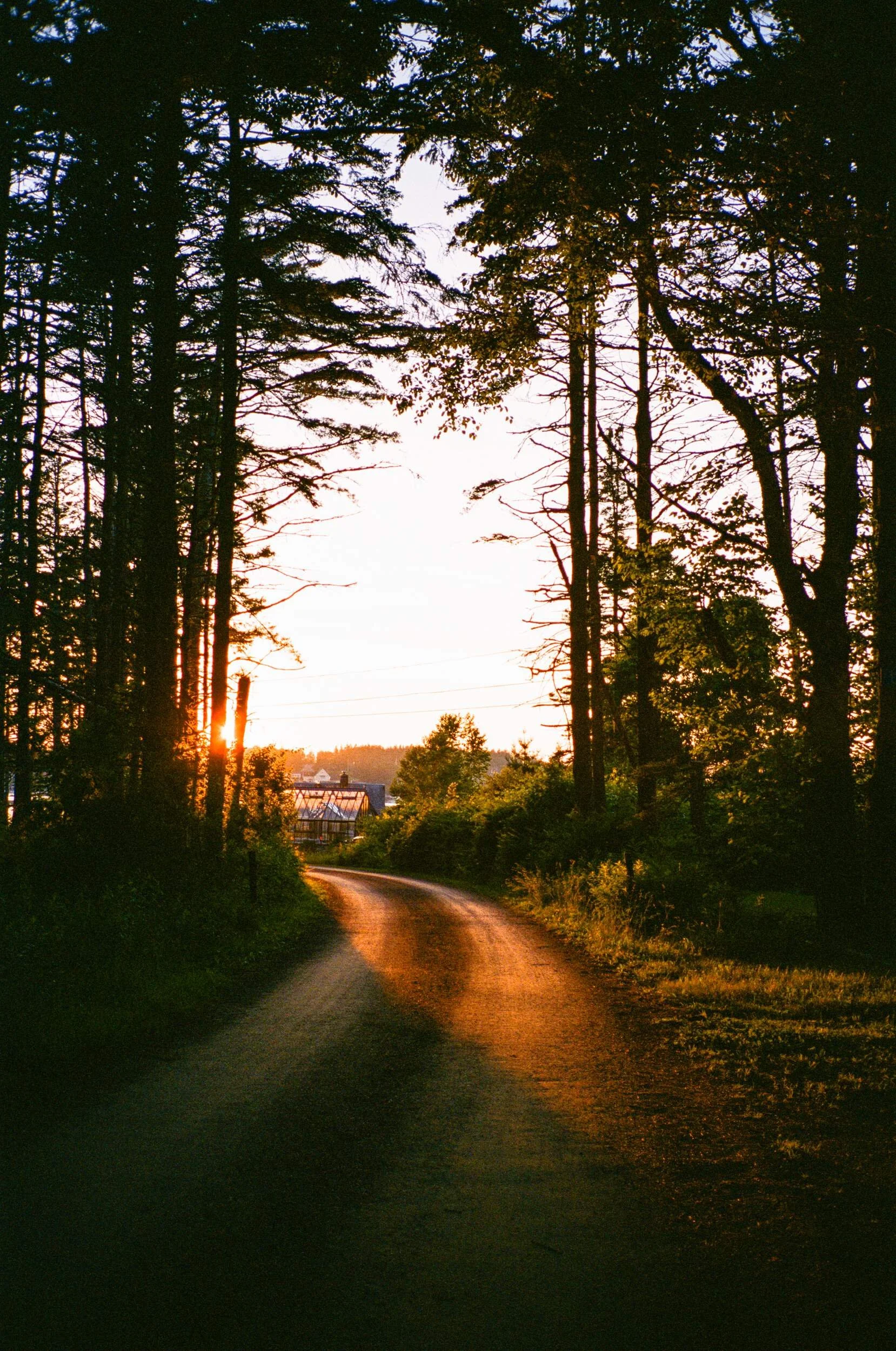 MAINE-42.jpg