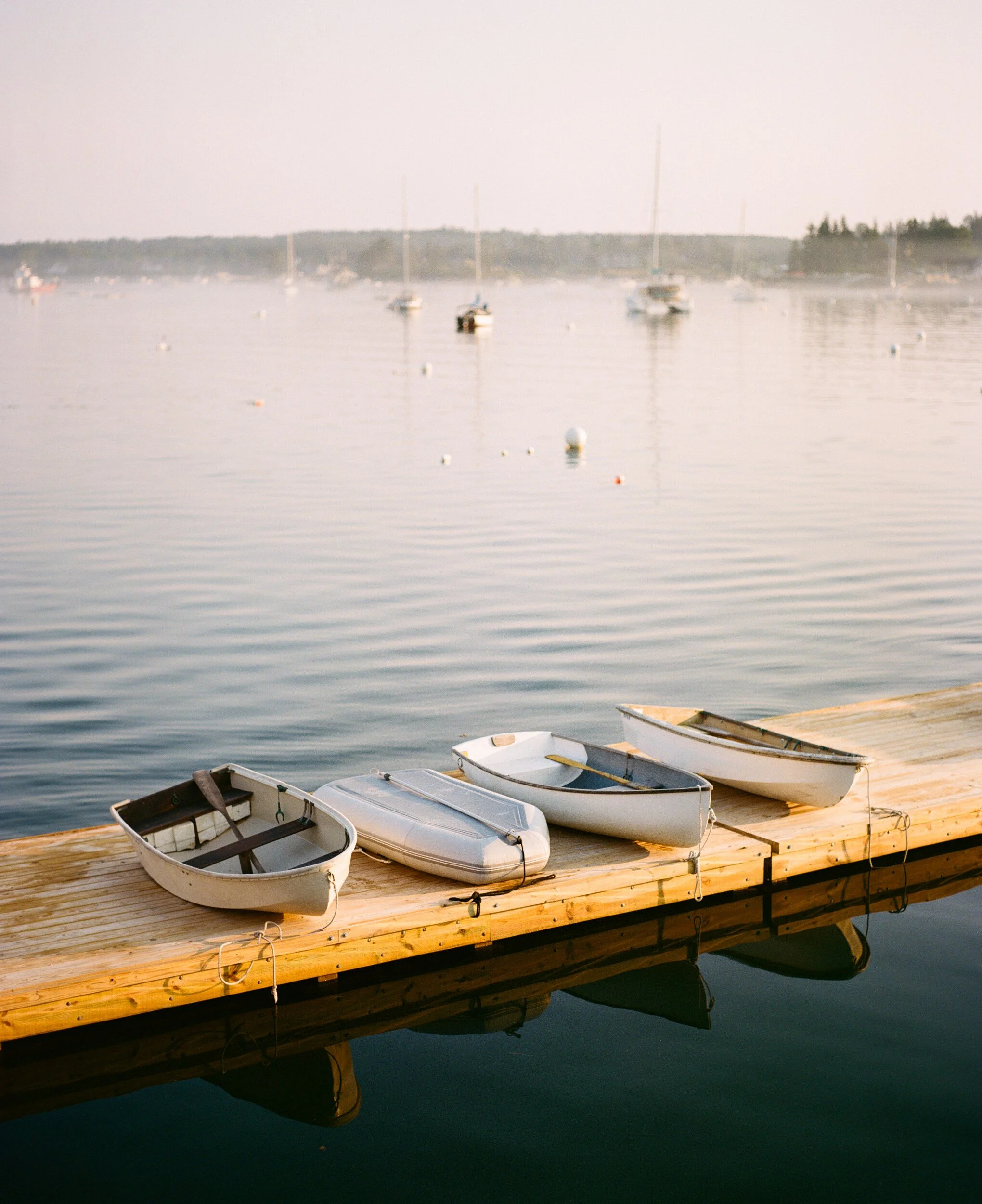 MAINE-44.jpg