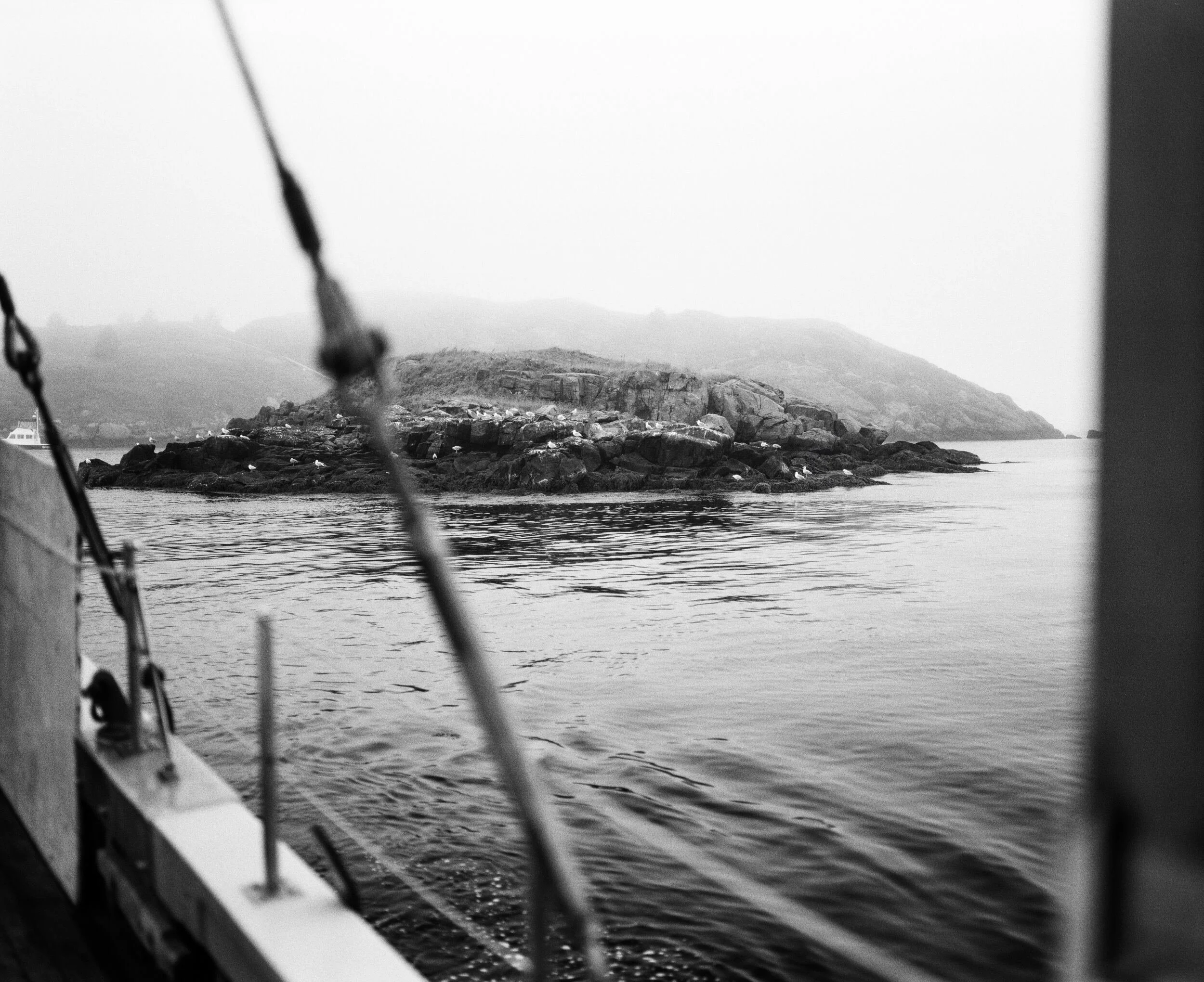 MAINE-47.jpg