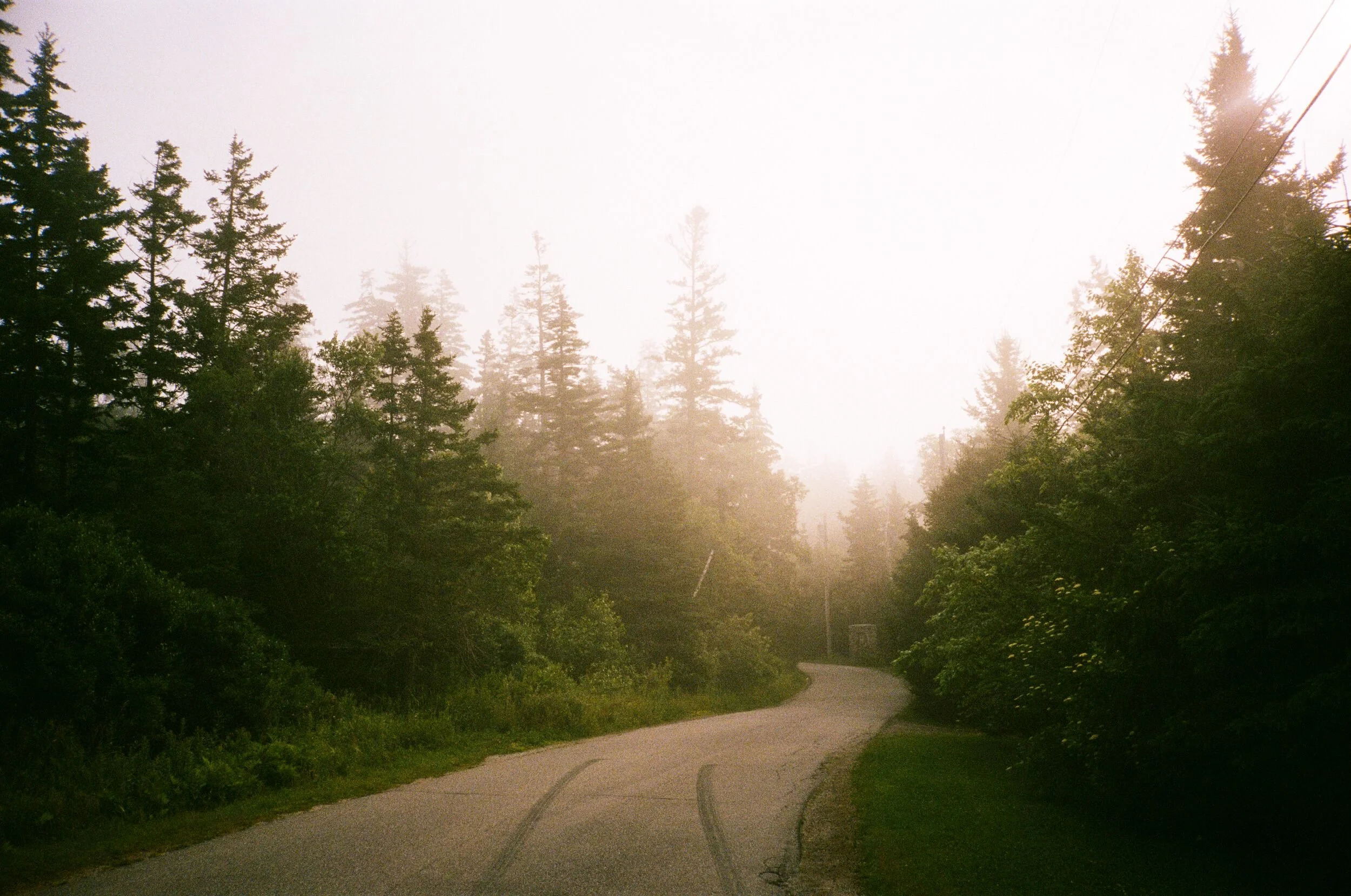 MAINE-48.jpg