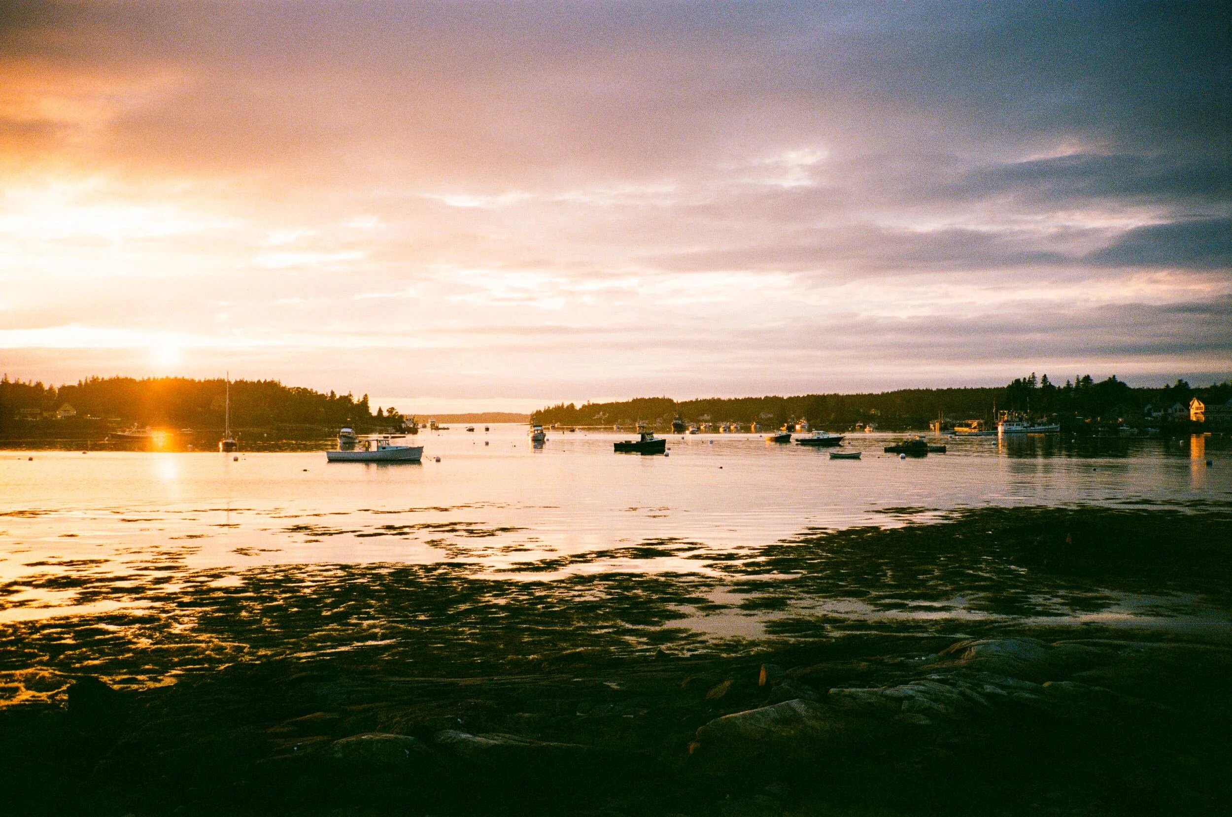 MAINE-52.jpg