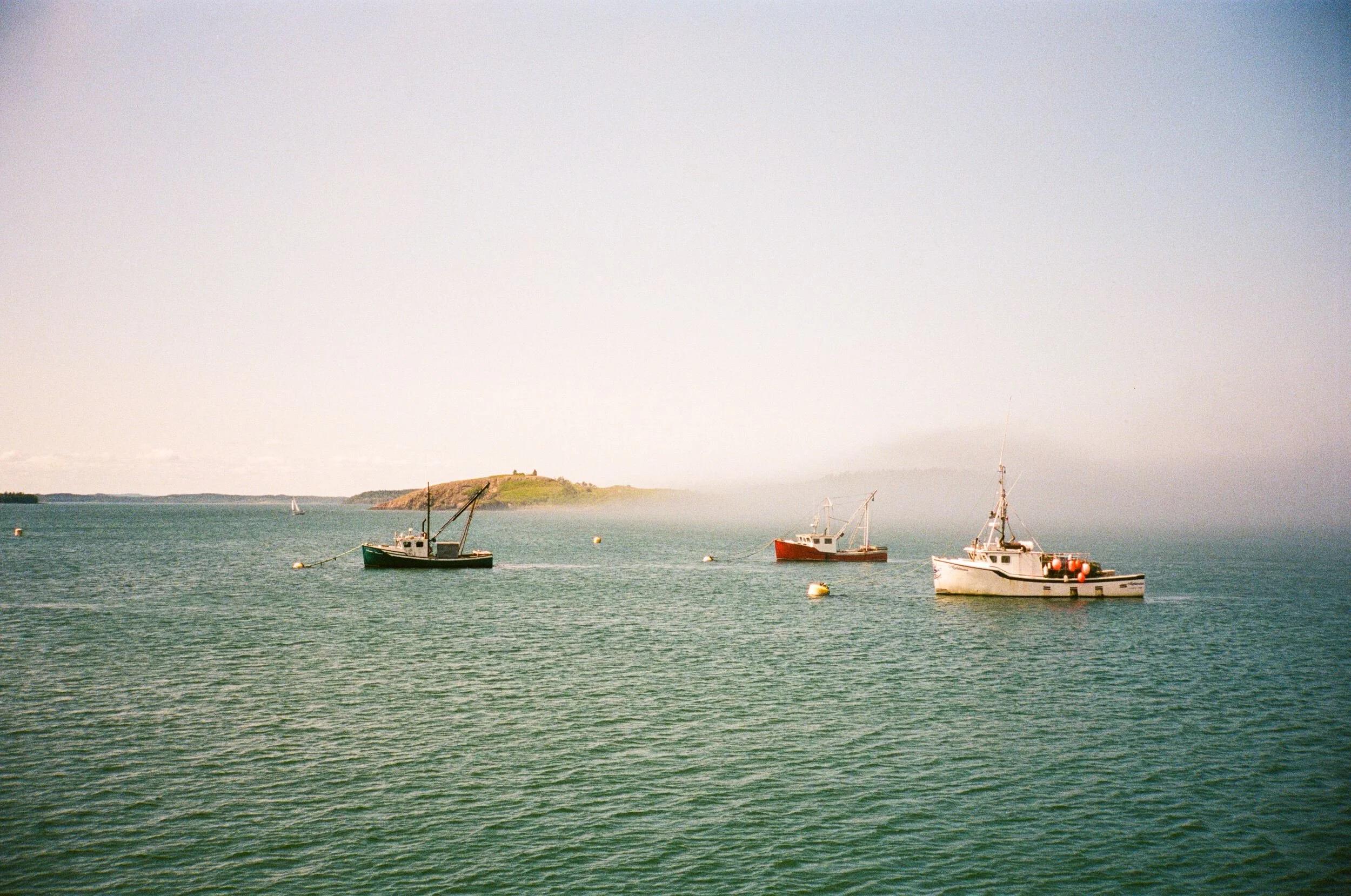 MAINE-54.jpg