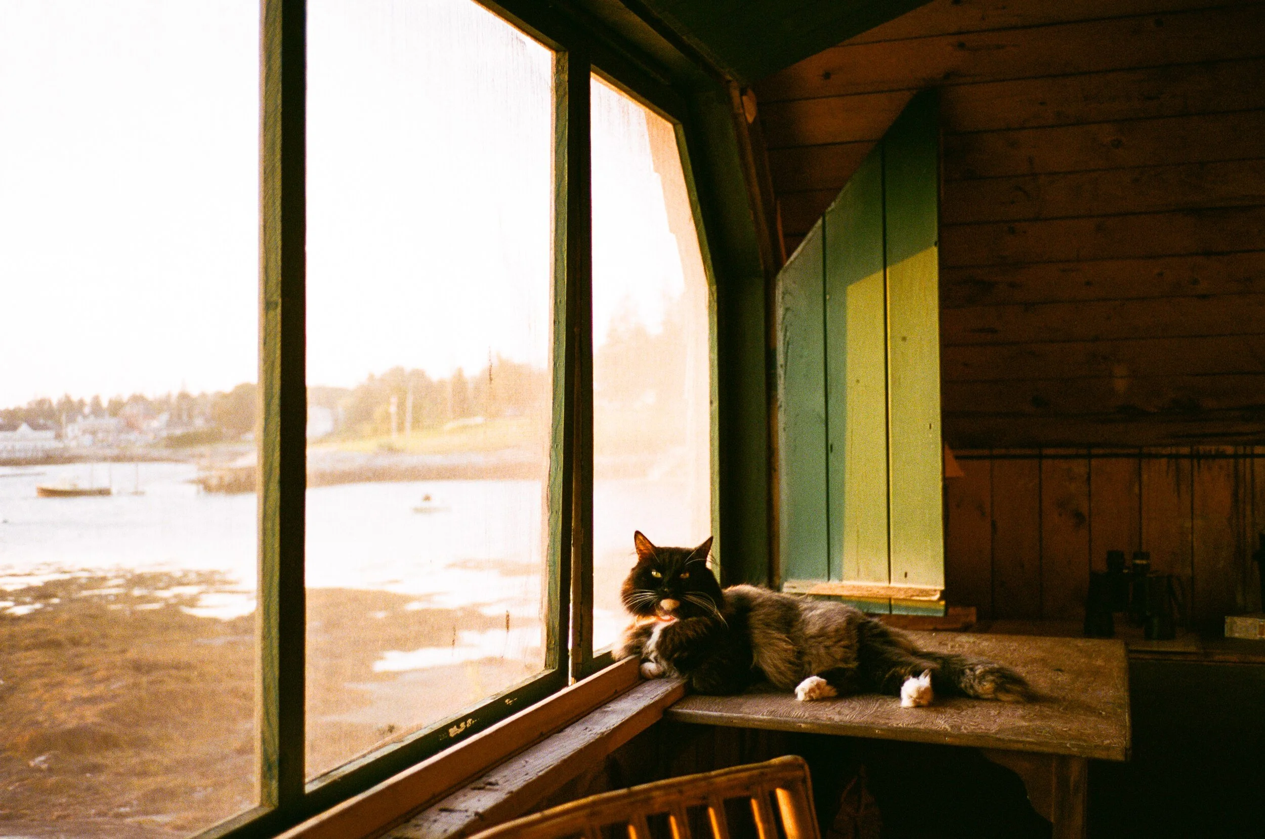 MAINE-56.jpg