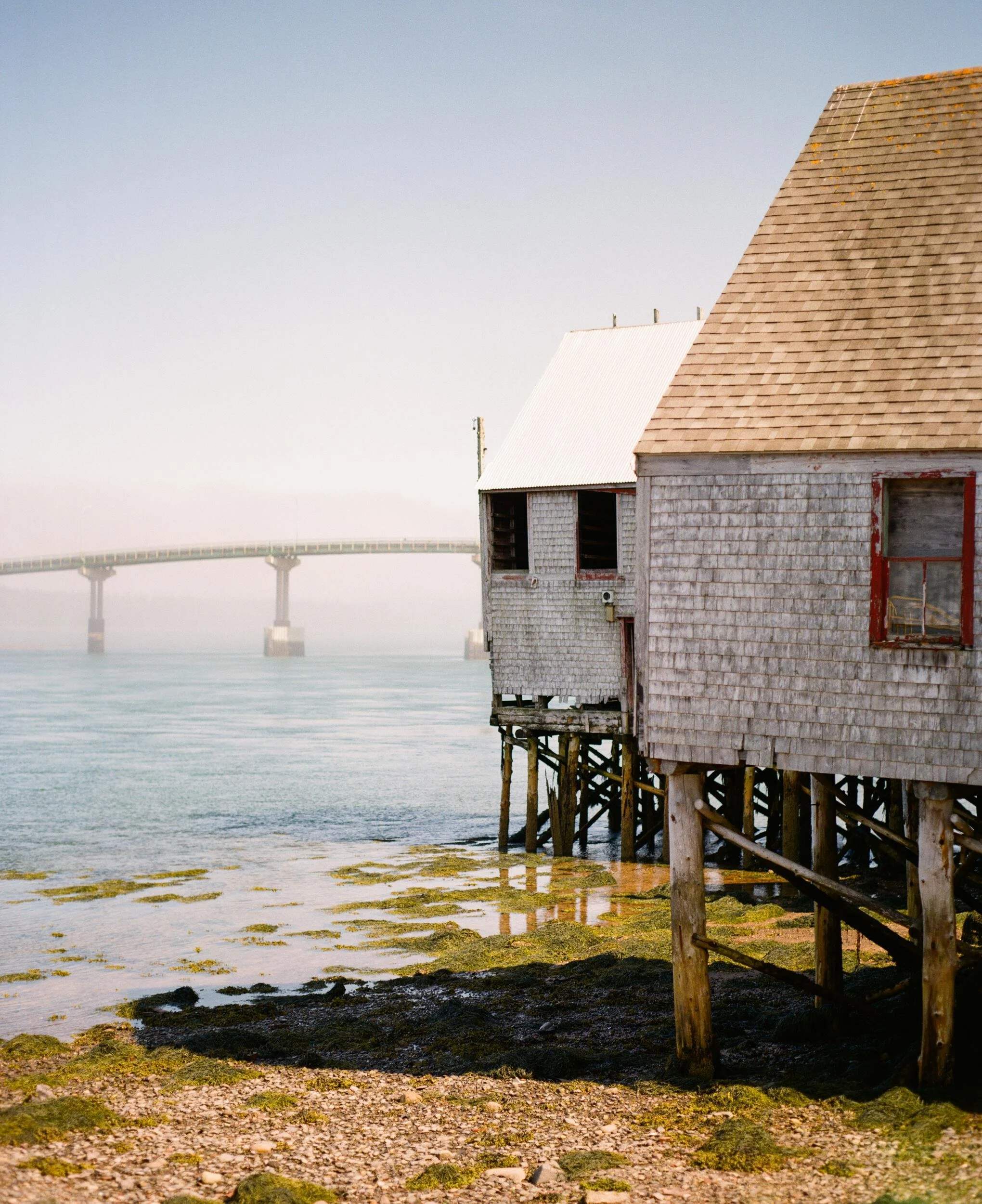 MAINE-61.jpg