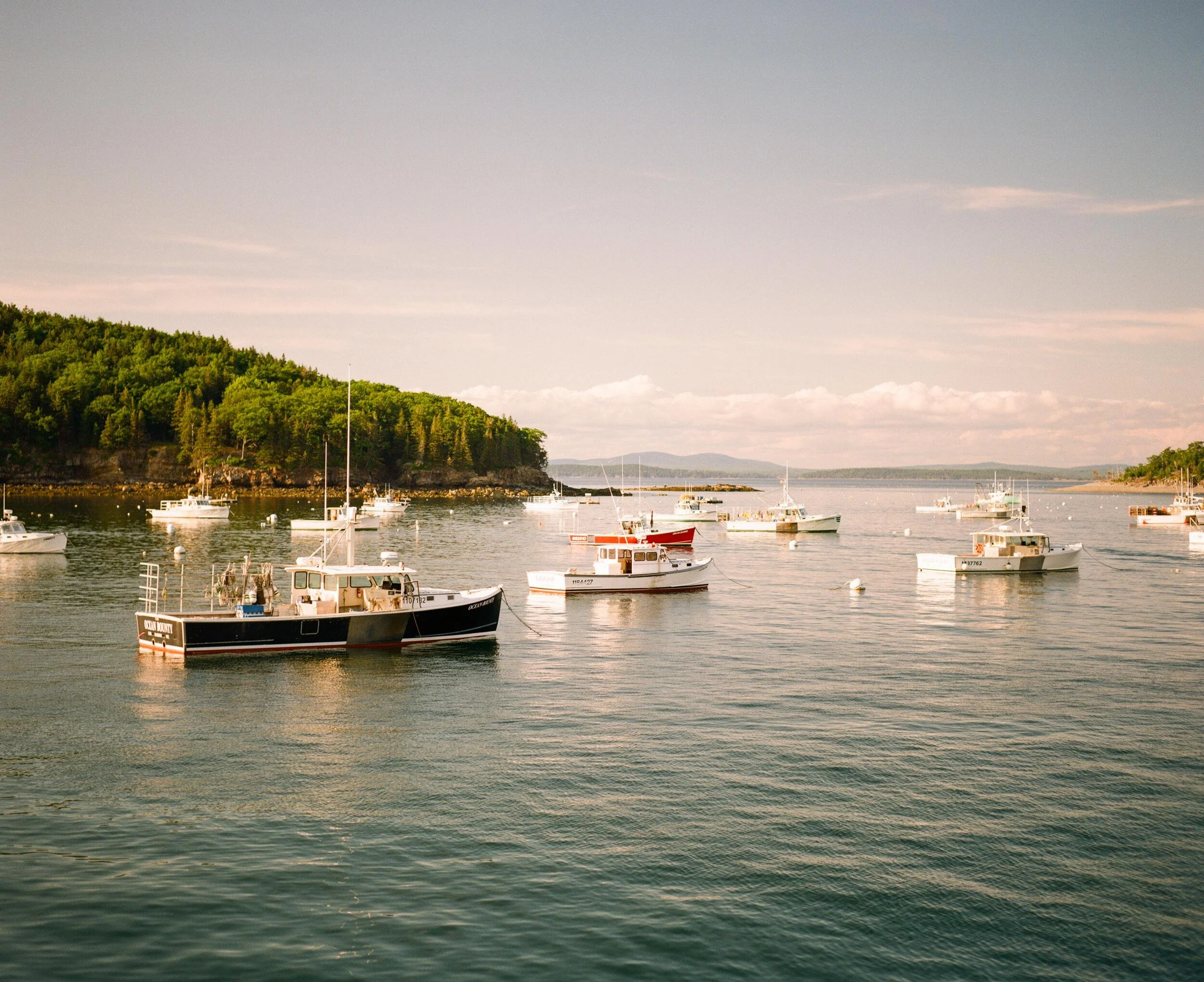 MAINE-77.jpg
