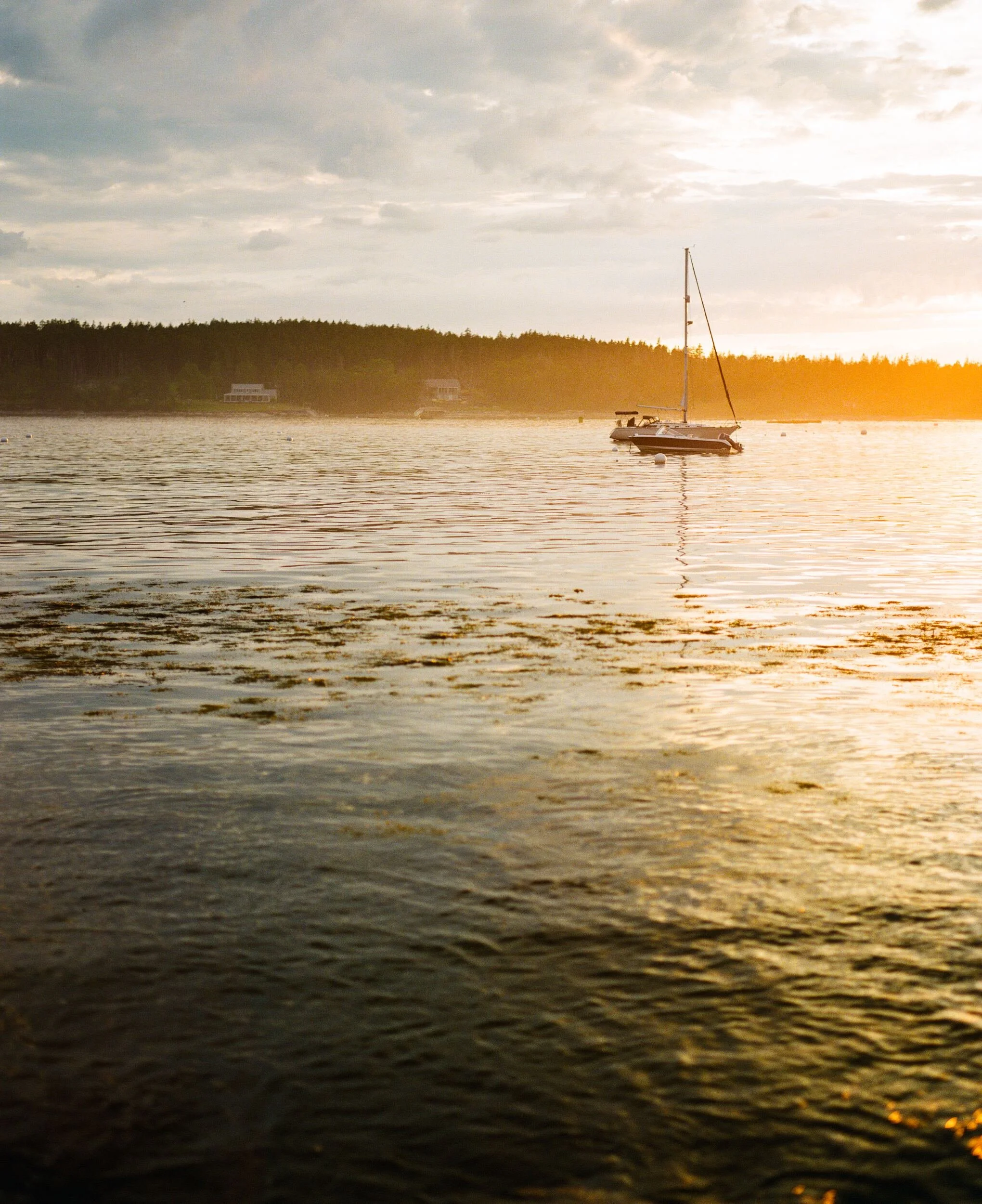 MAINE-88.jpg