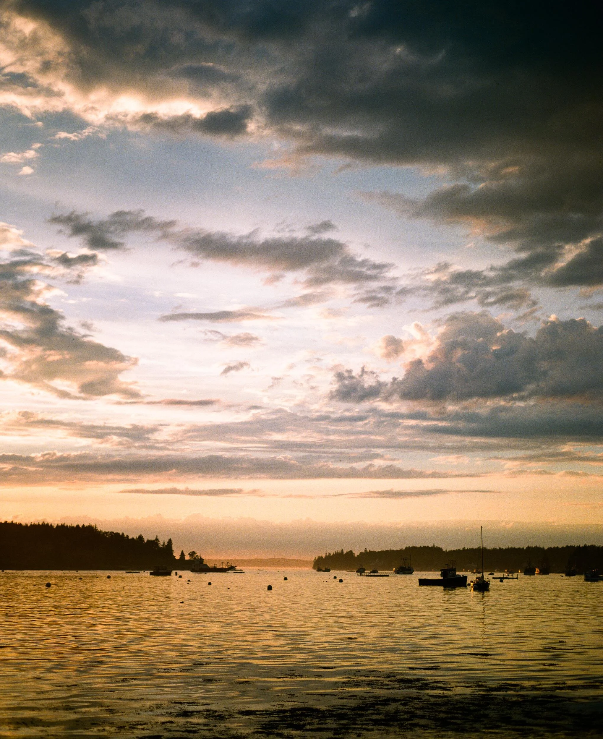 MAINE-99.jpg