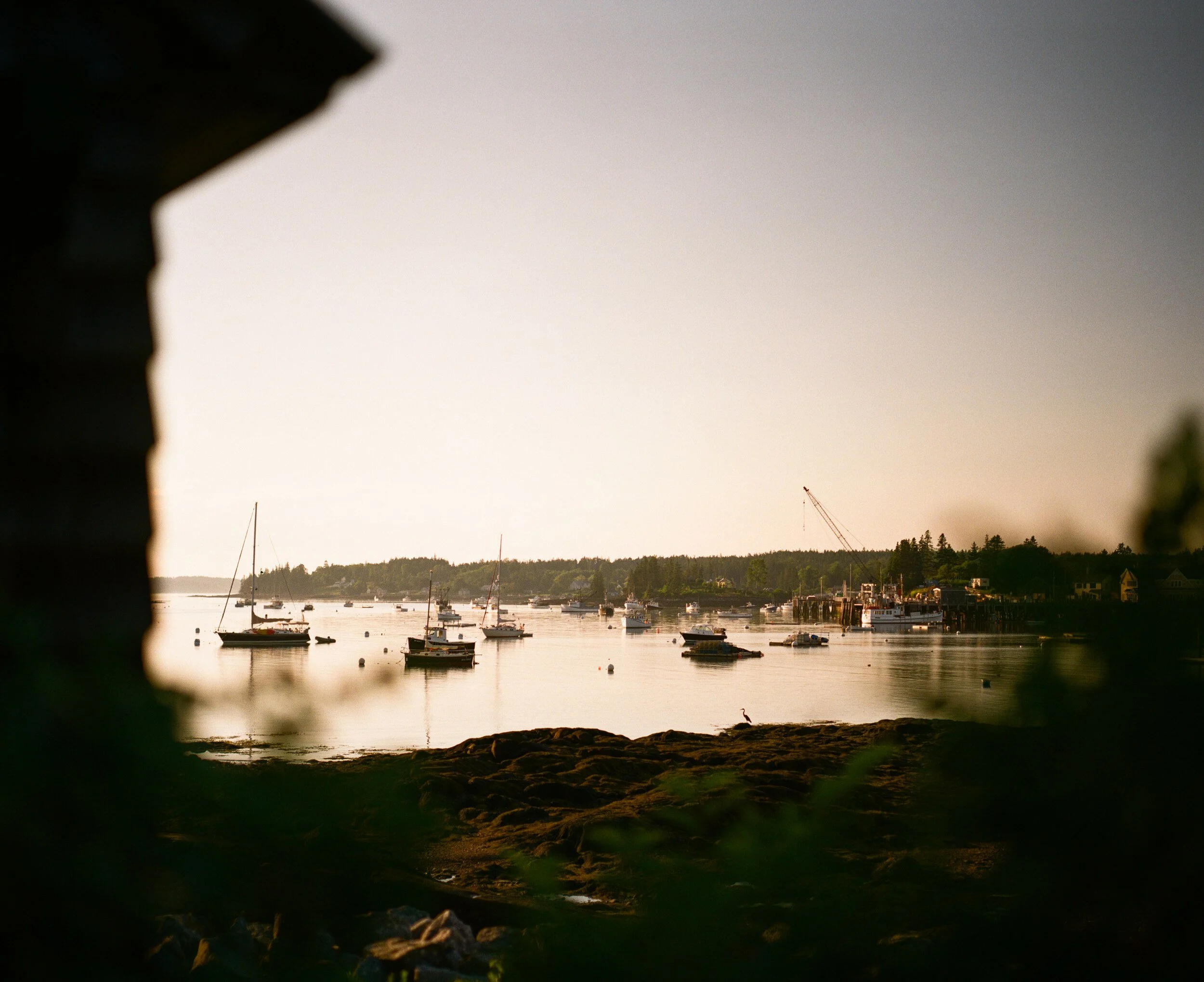 MAINE-105.jpg