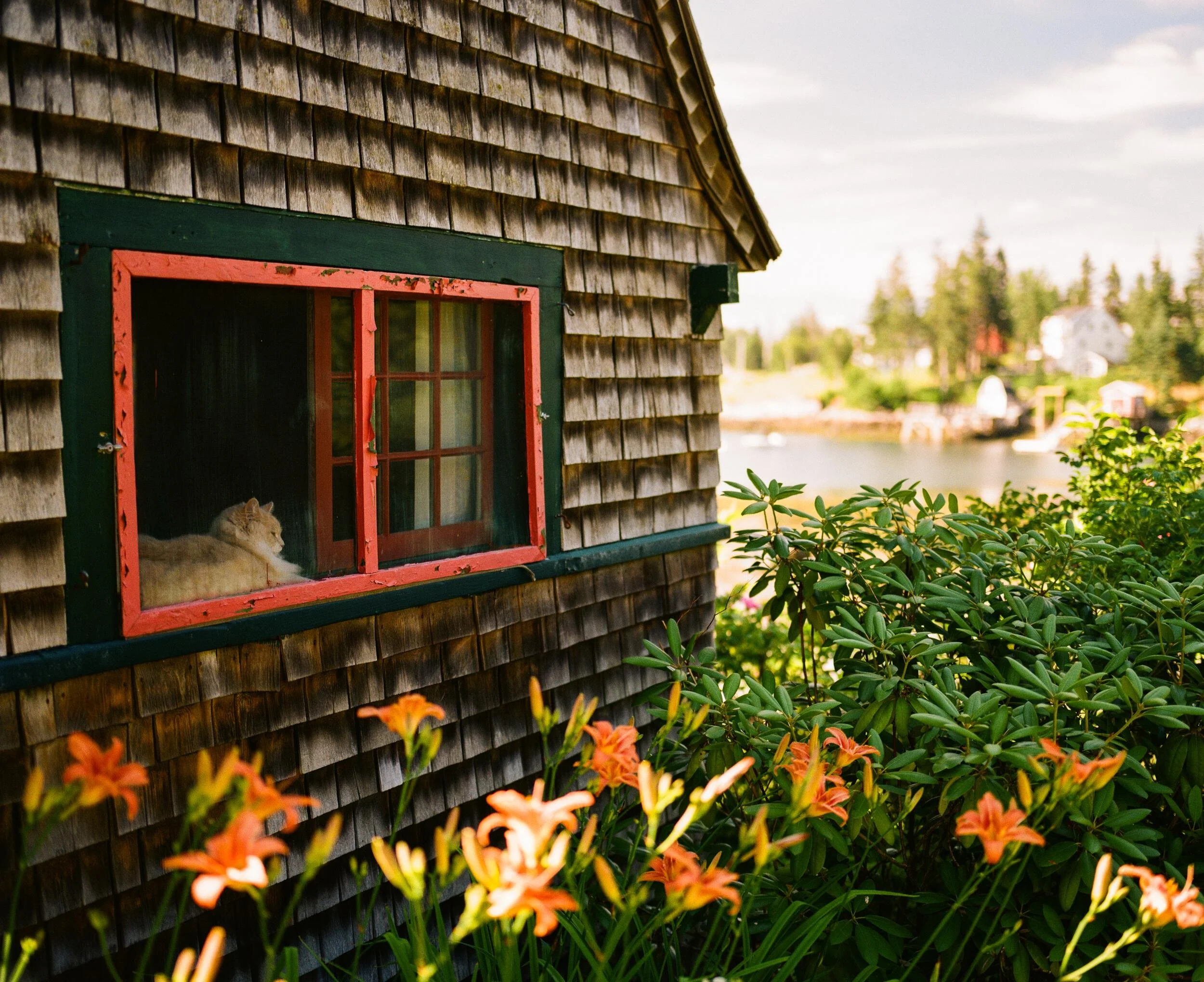 MAINE-110.jpg