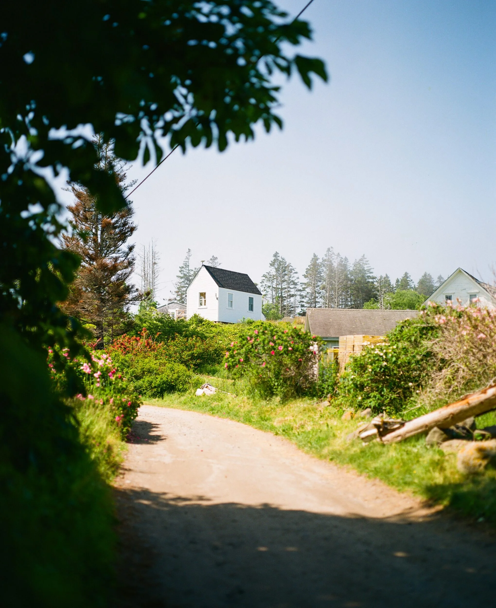 MAINE-150.jpg