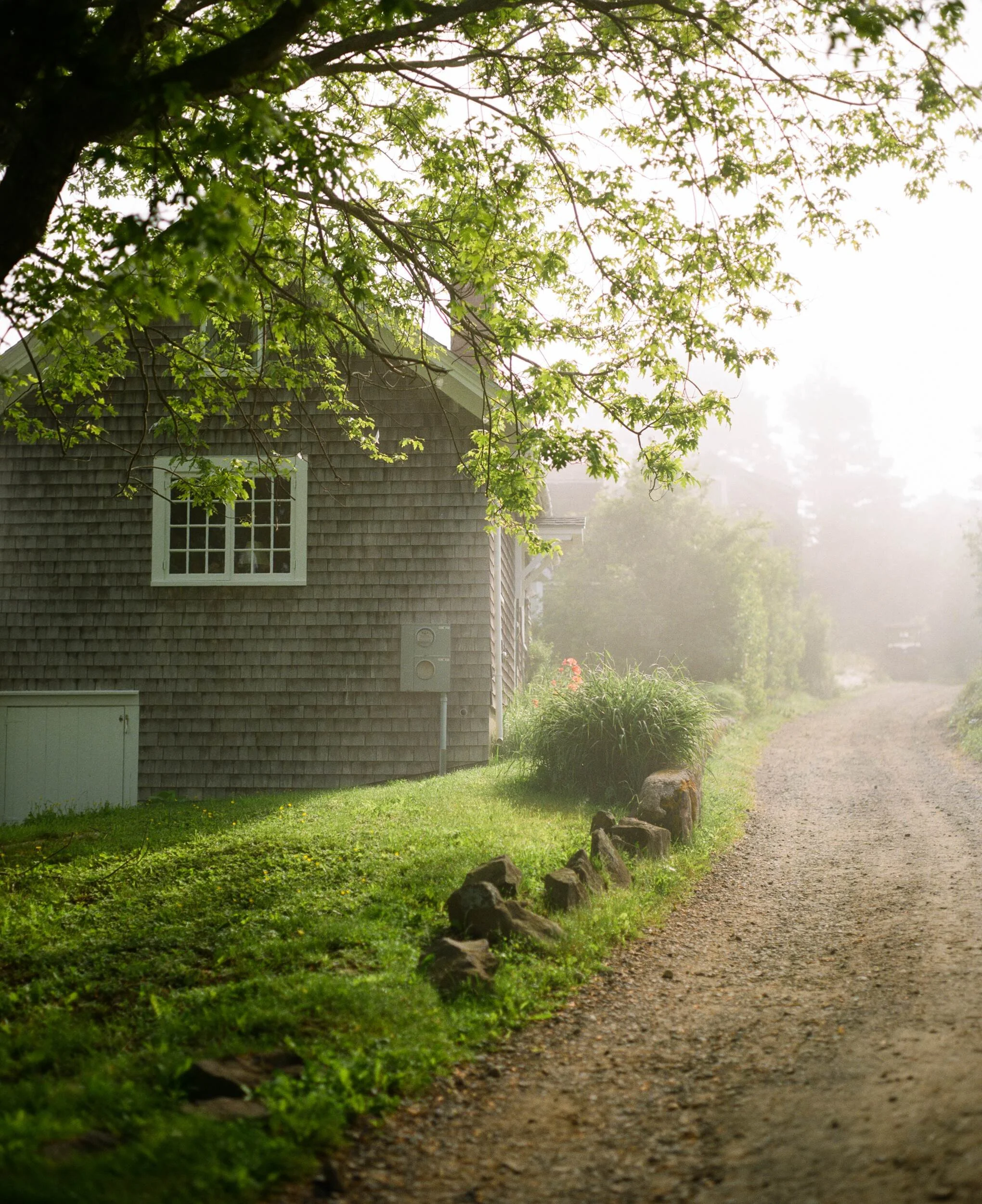 MAINE-153.jpg
