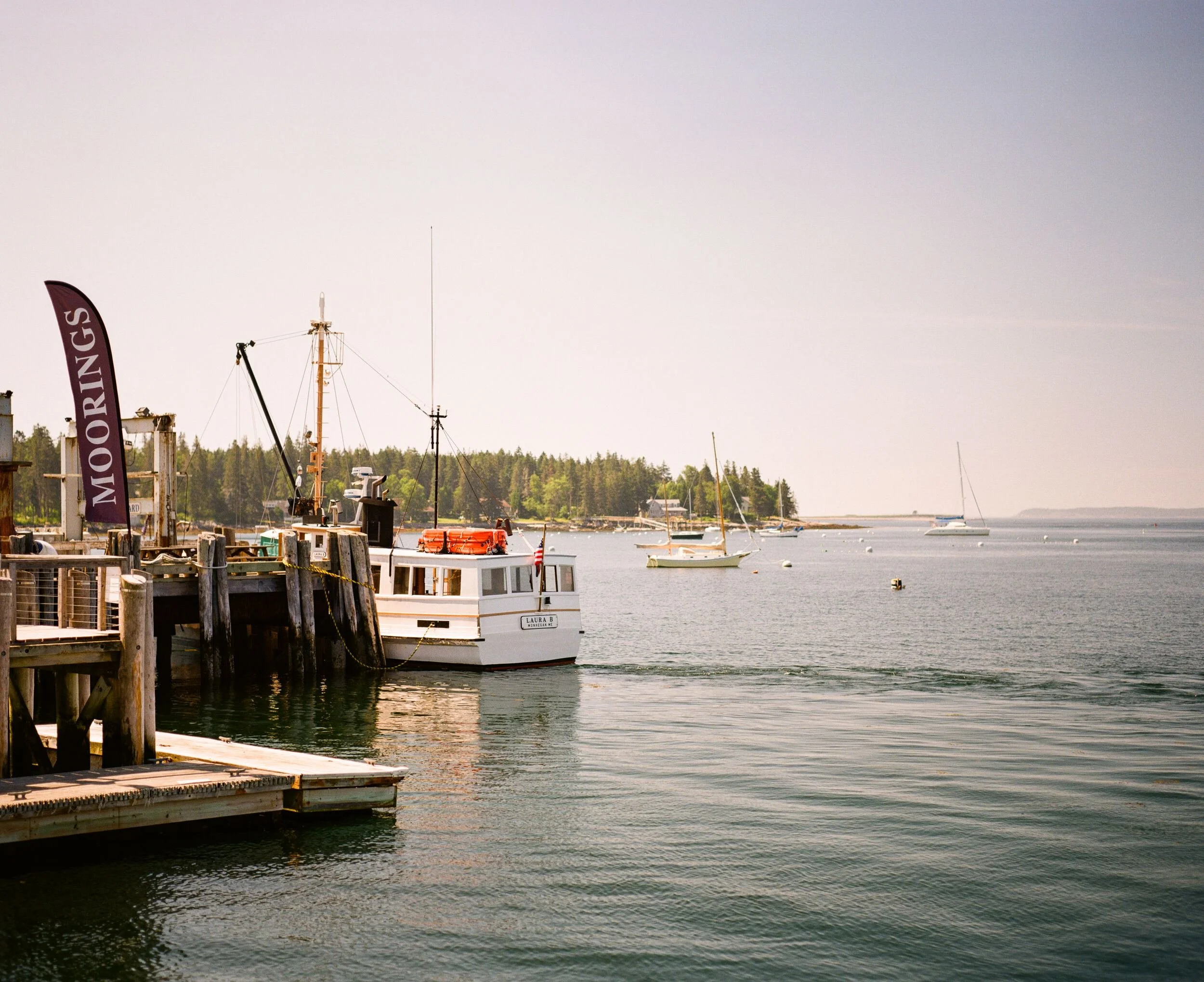 MAINE-157.jpg