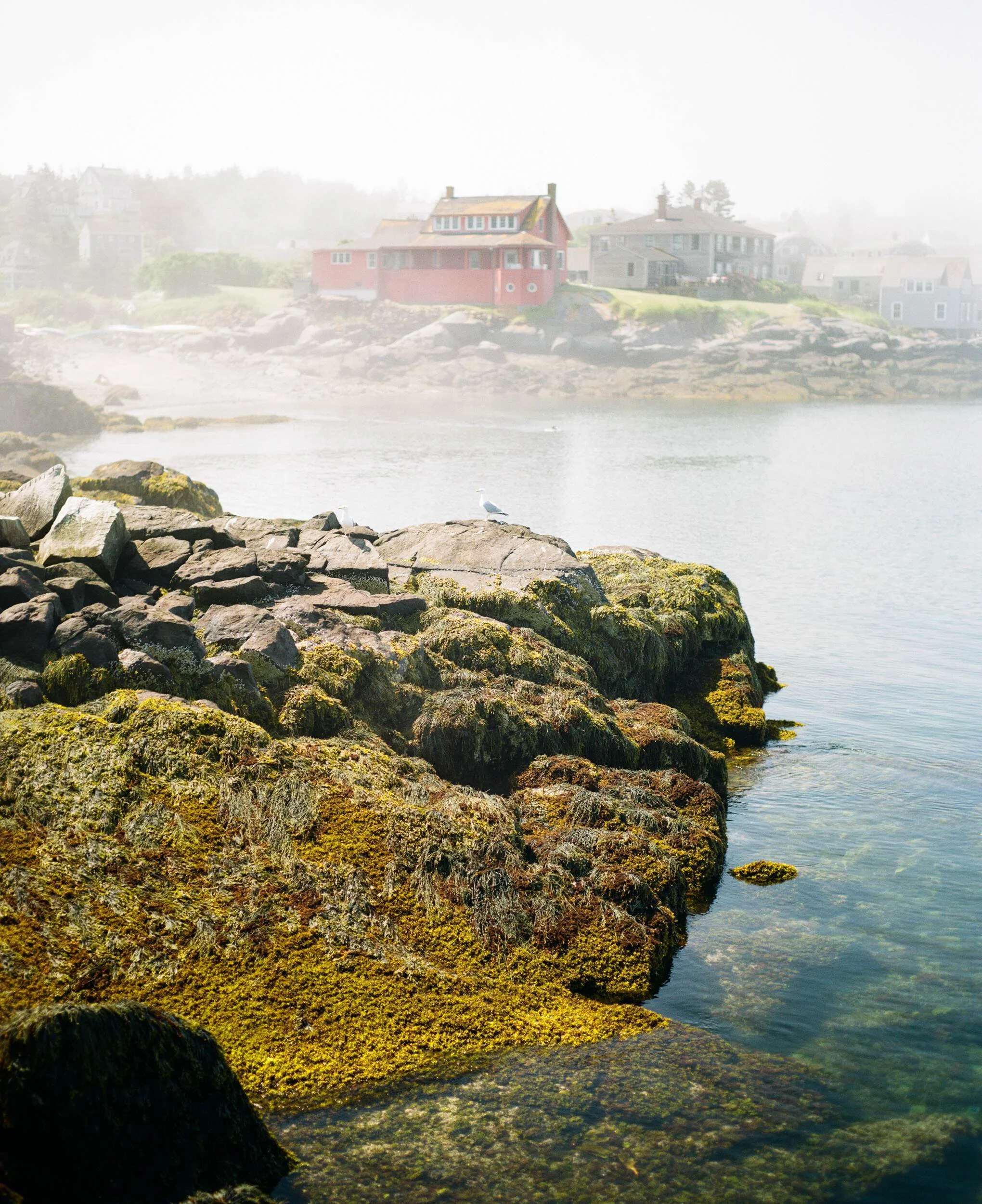 MAINE-160.jpg
