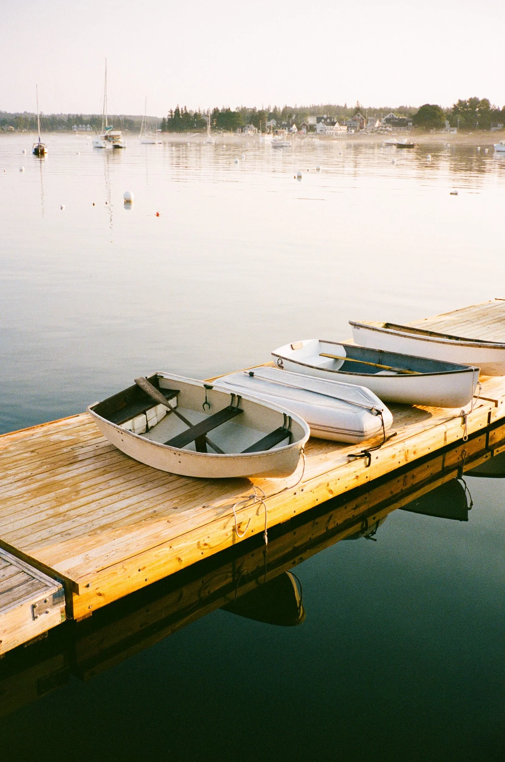 MAINE-163.jpg