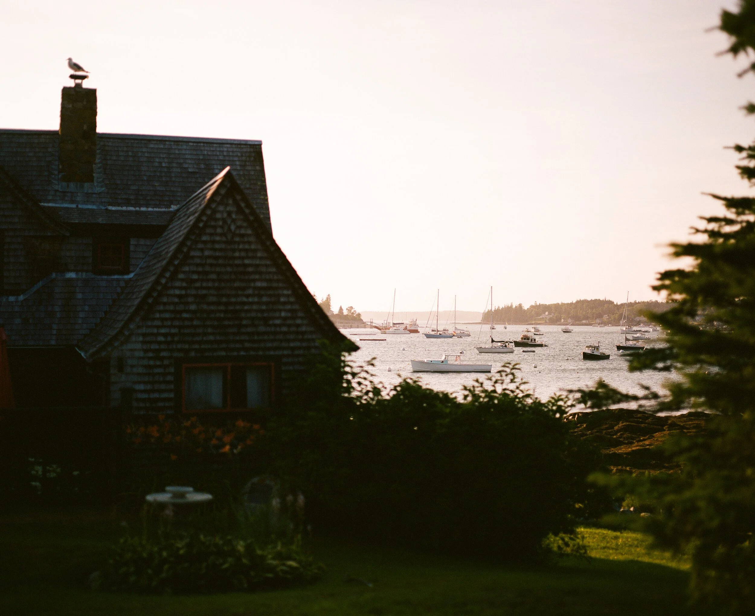 MAINE-179.jpg