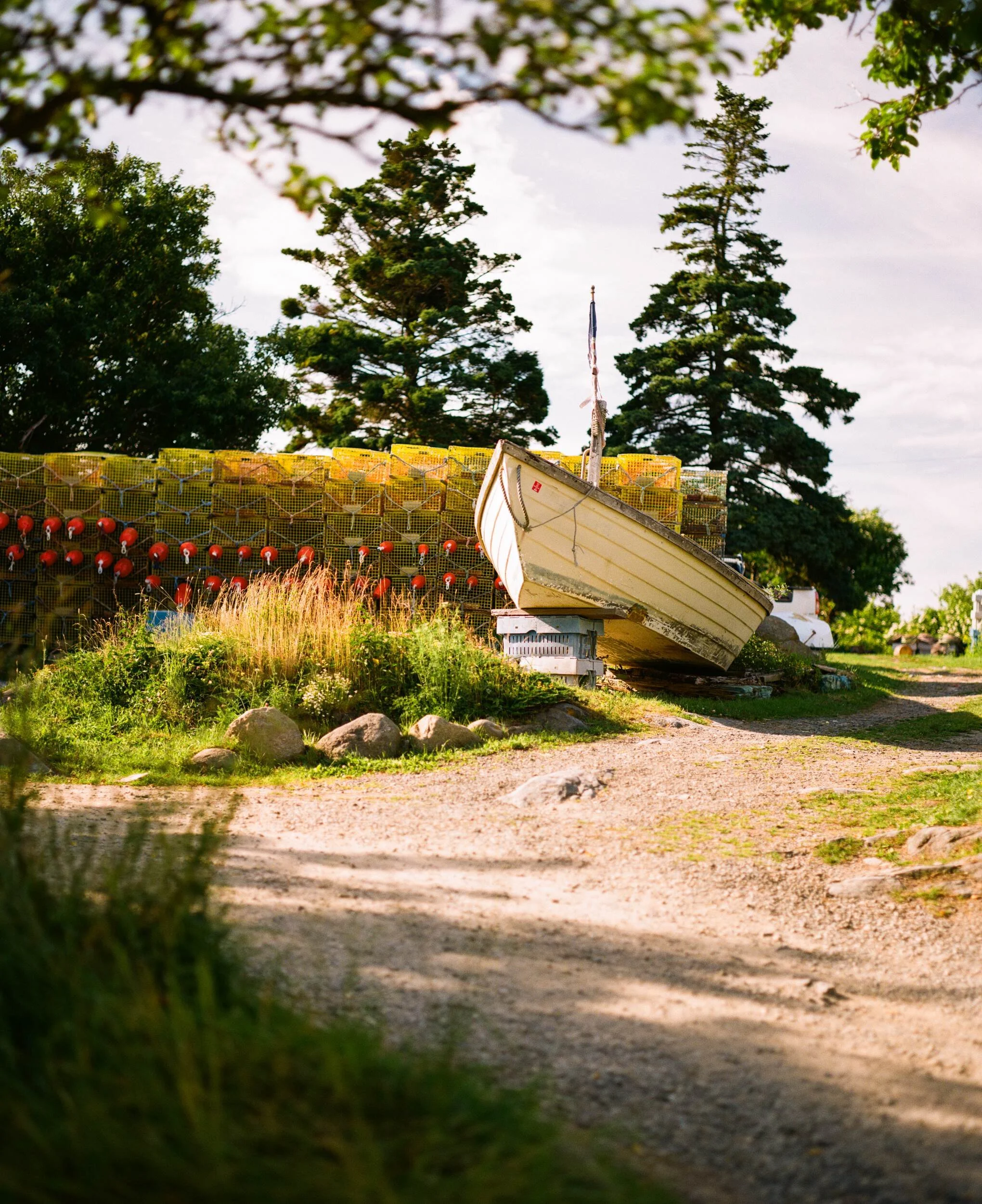 MAINE-181.jpg