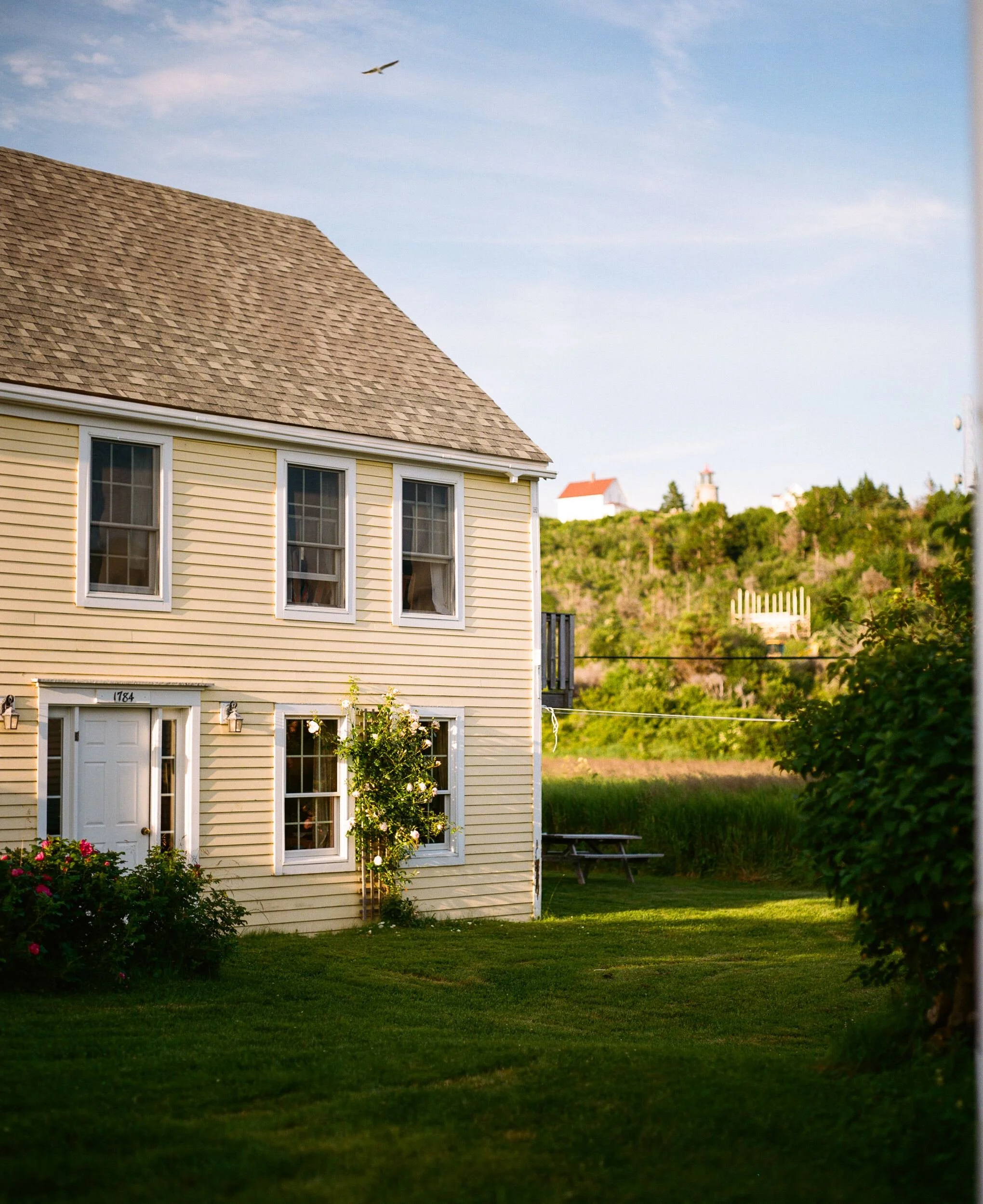 MAINE-184.jpg