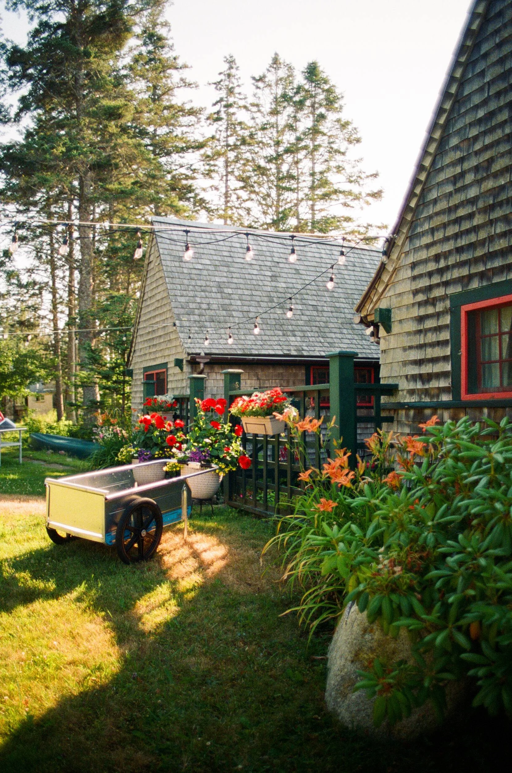 MAINE-194.jpg