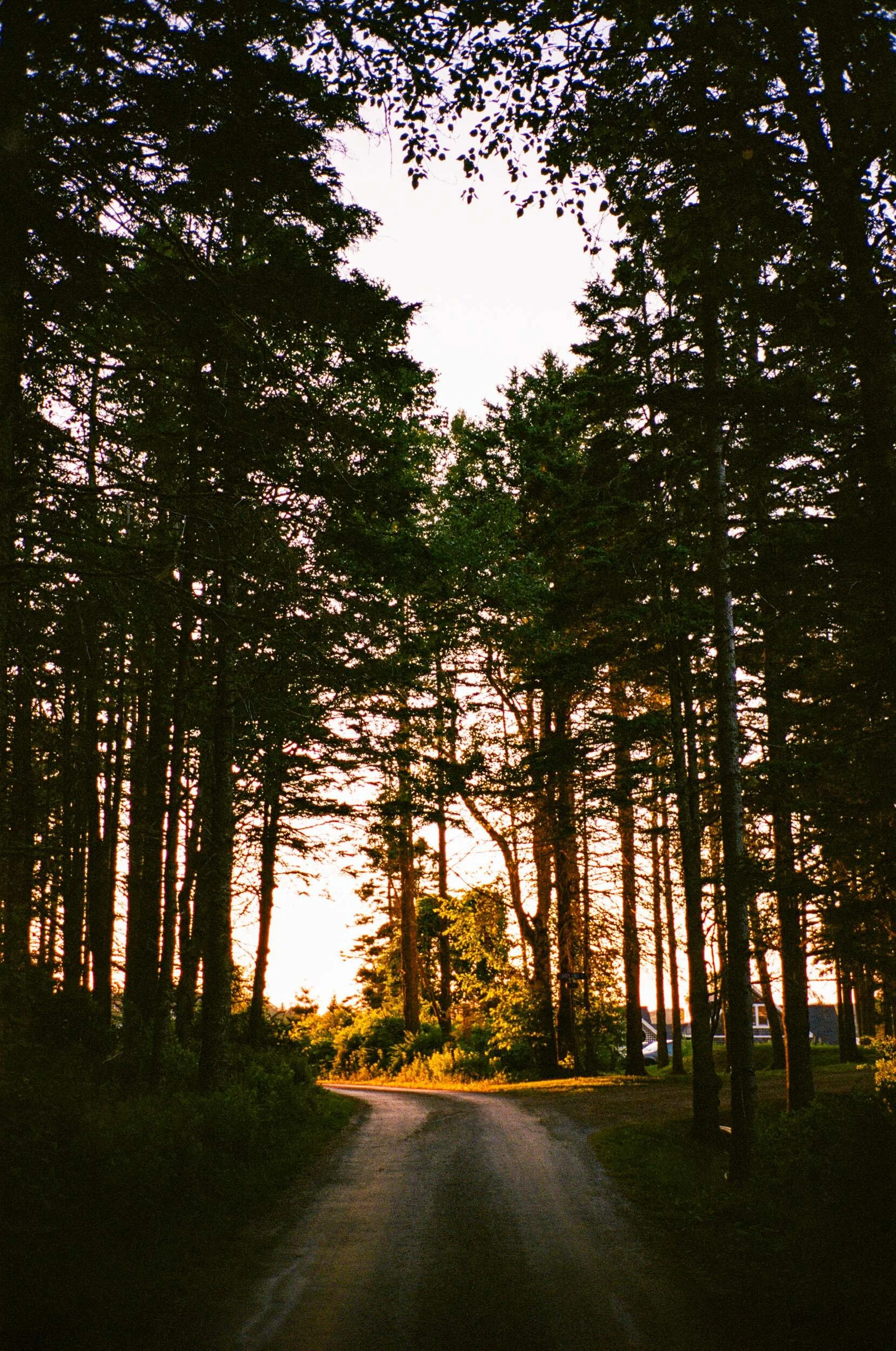 MAINE-203.jpg